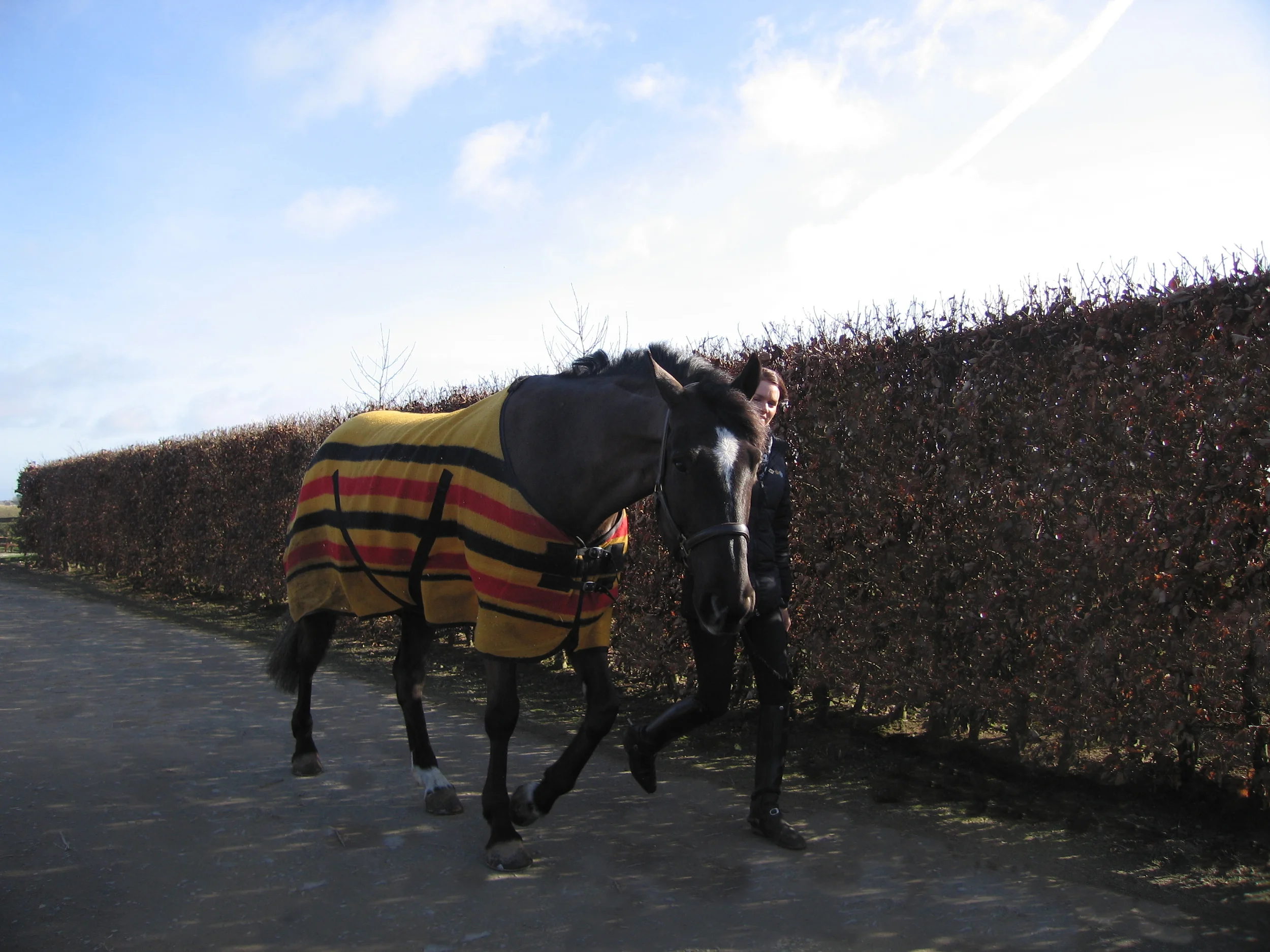 autum til summer 13 103 - Copy.JPG