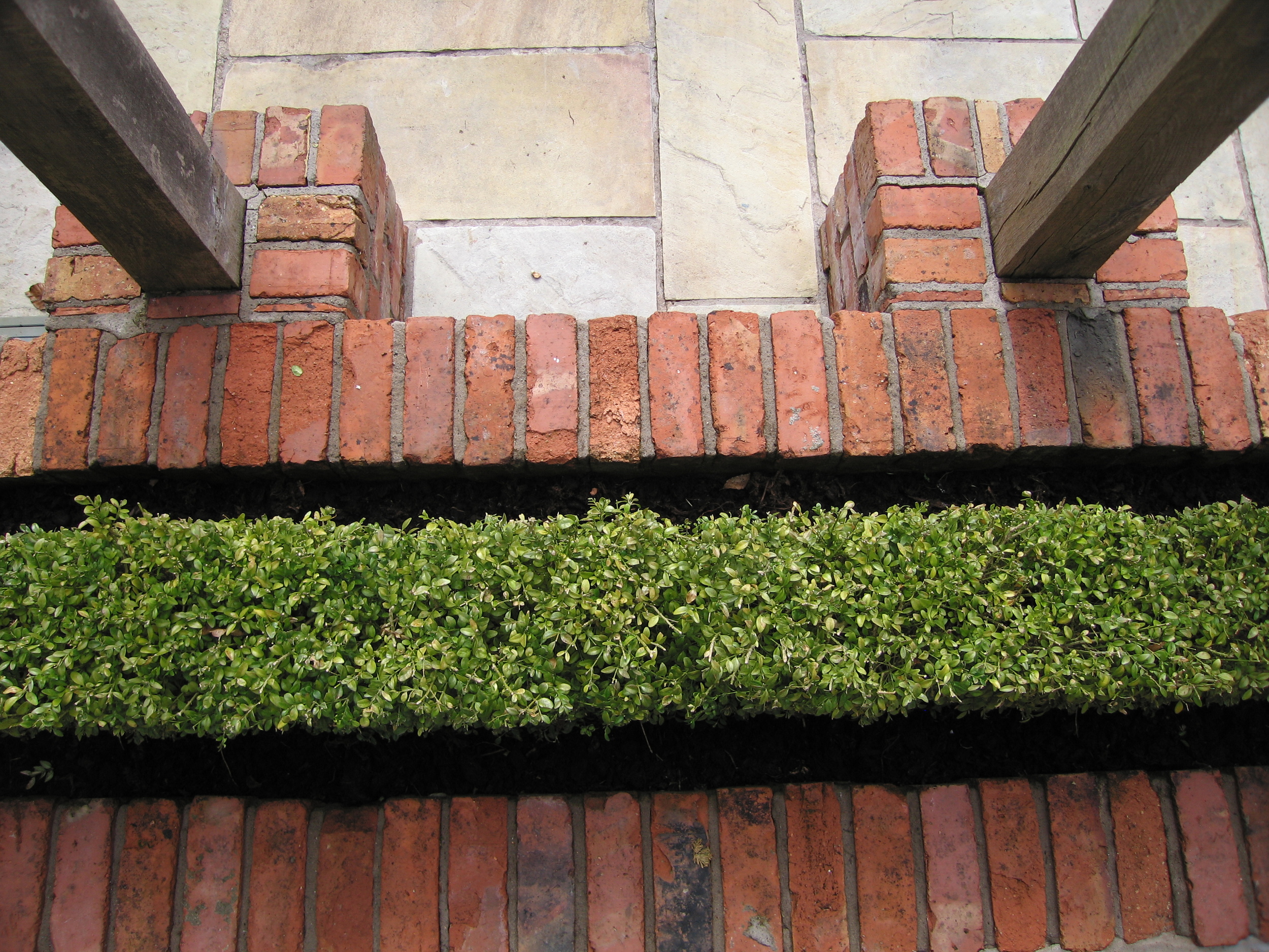 box formal planting with reclaimed brickwork in garden belfast