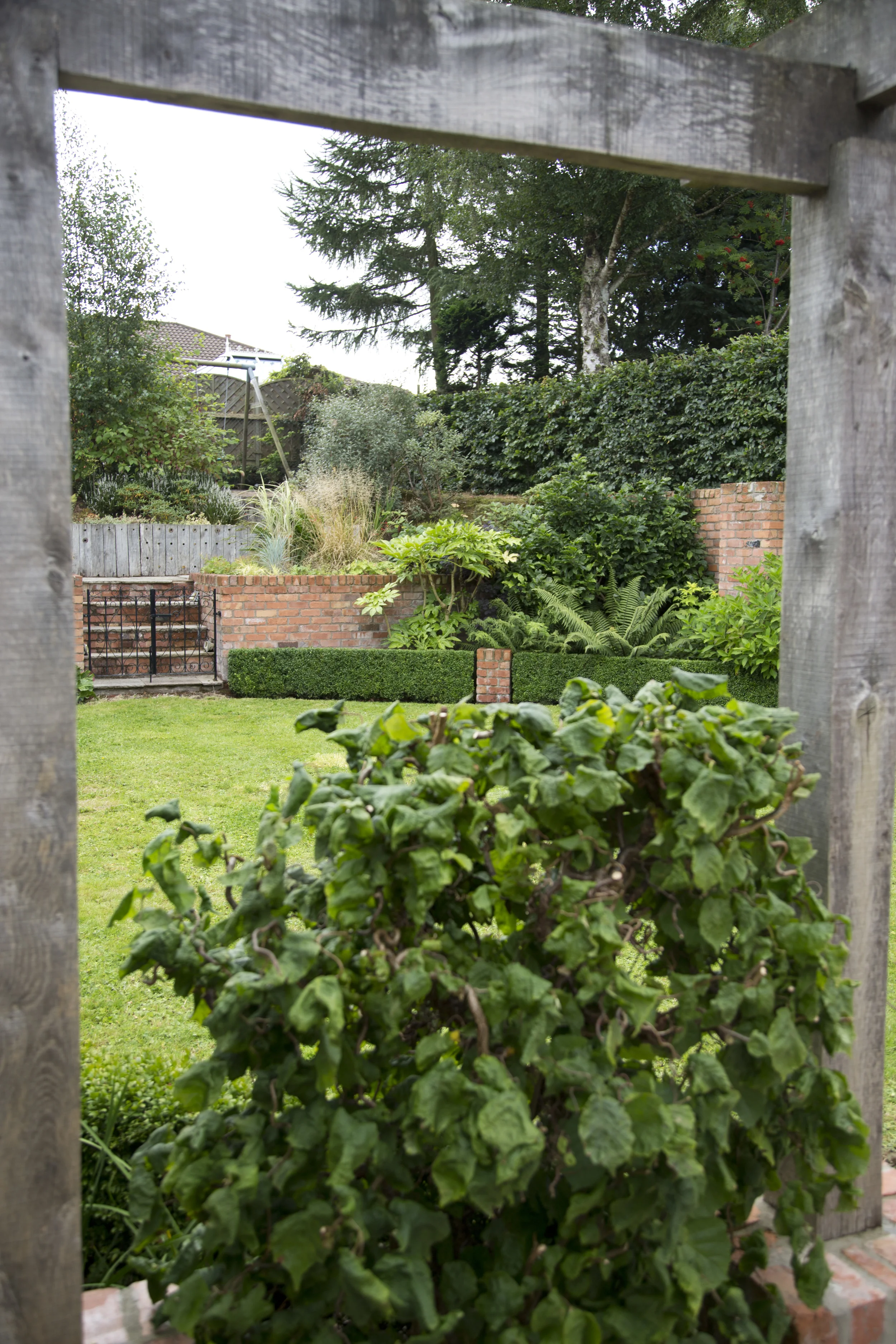 corylus avelana contorta with oak pergola