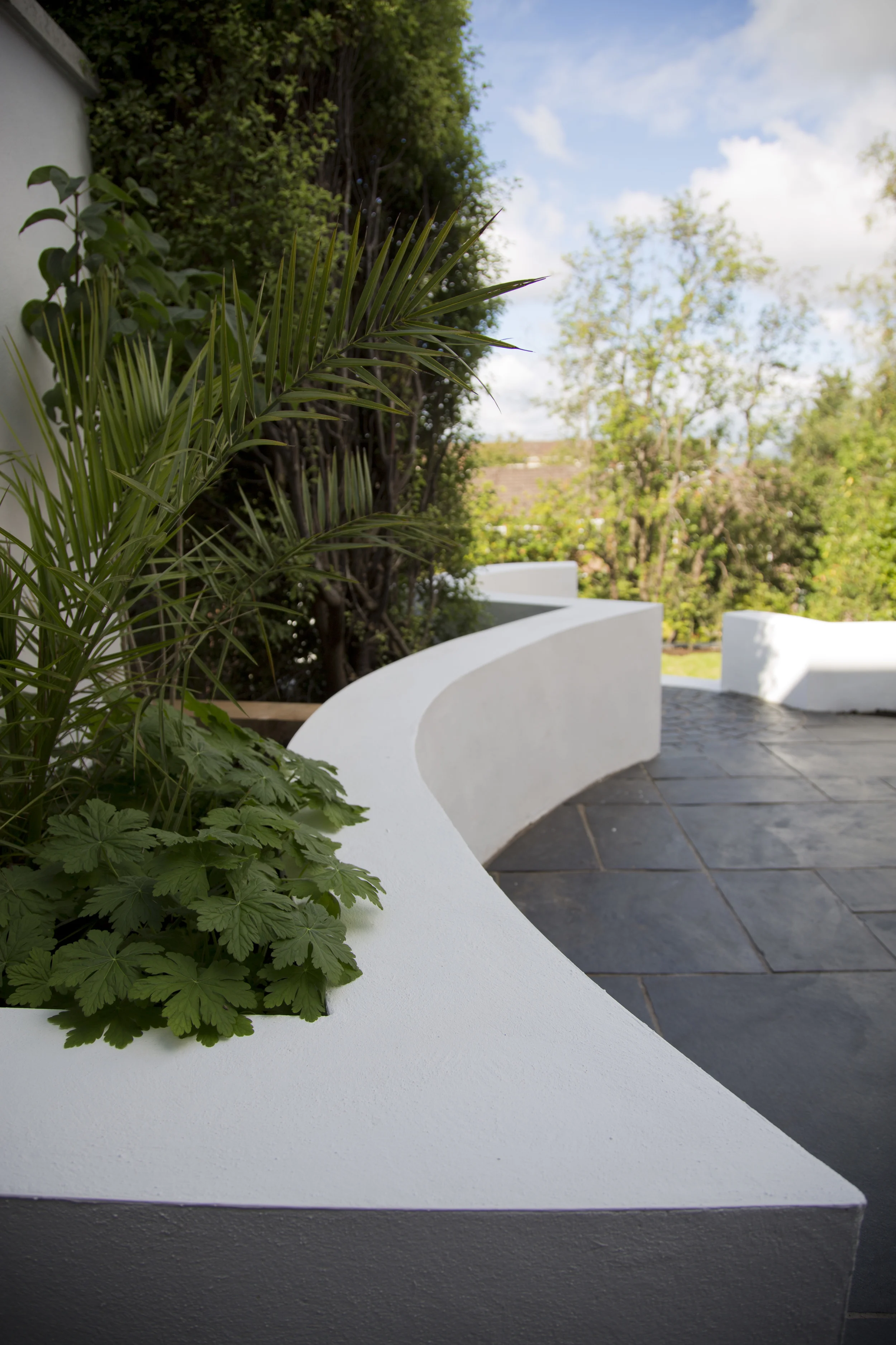 Multi-Level Terrace CASTLEREAGH (21).jpg