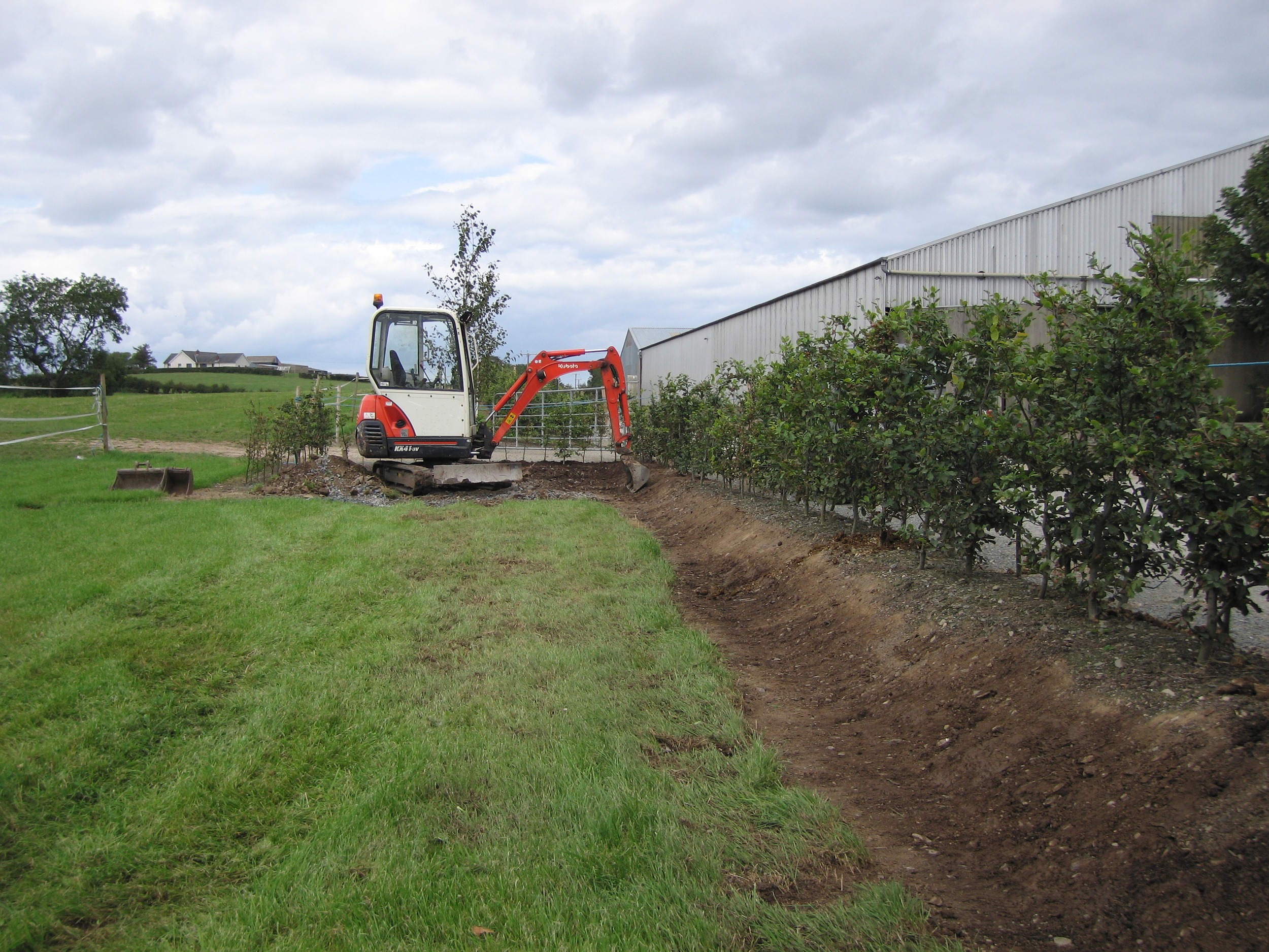 equestrian landscaping using beech hedging and bank 