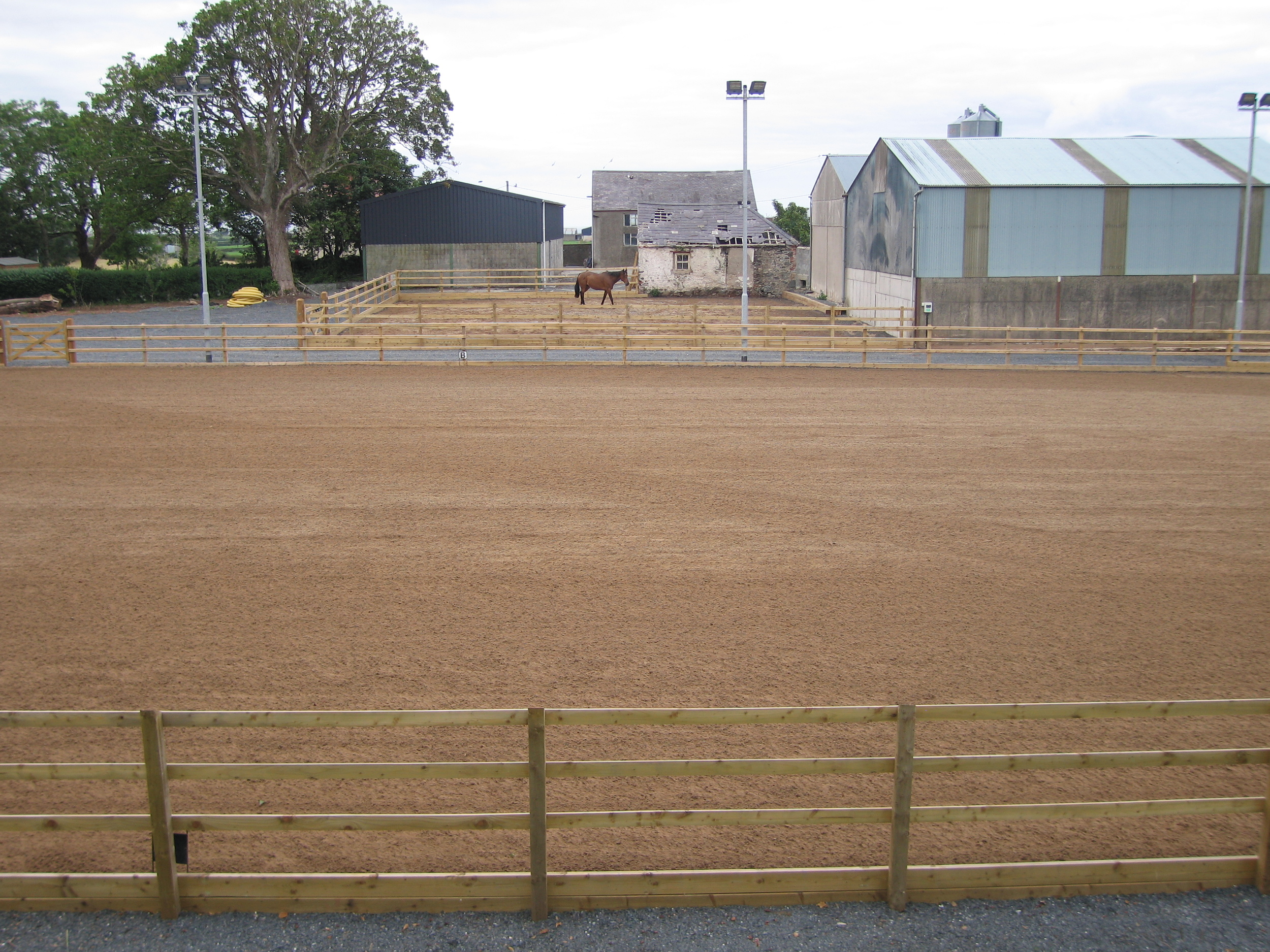 equestrian facilities with arena and lunging pen northern ireland
