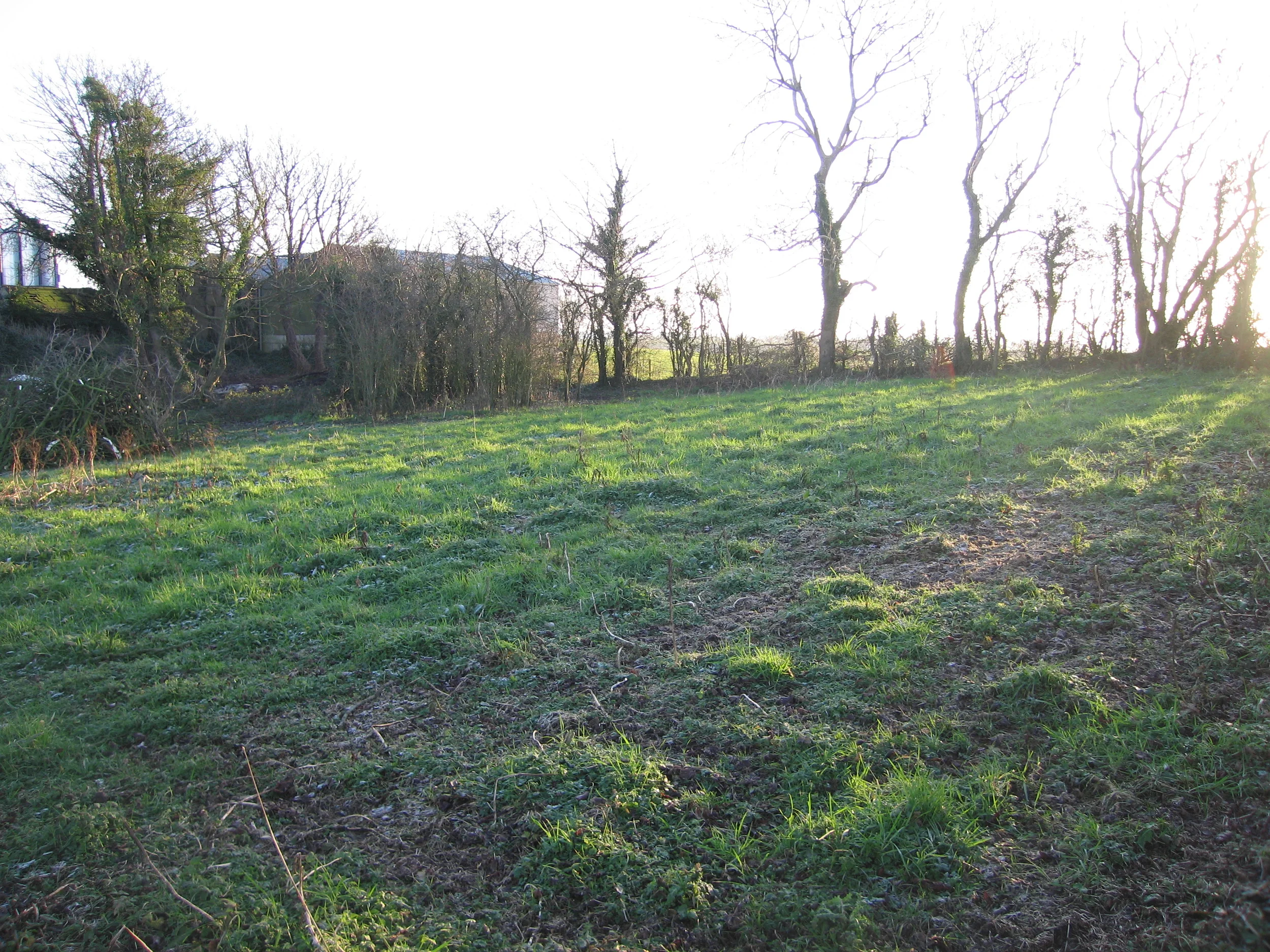 9 Badger Hill North Down (3).JPG