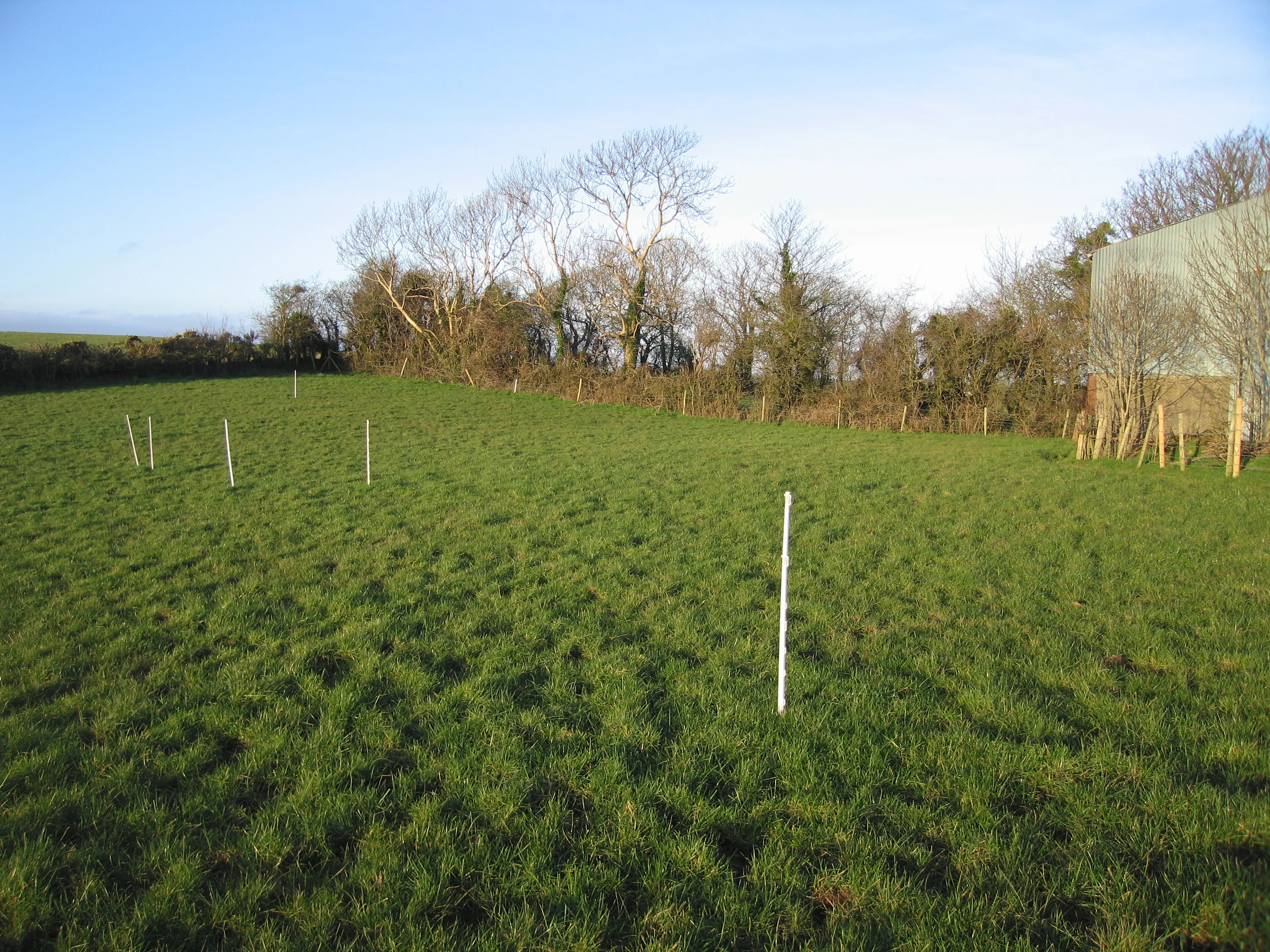 9 Badger Hill North Down (6).JPG