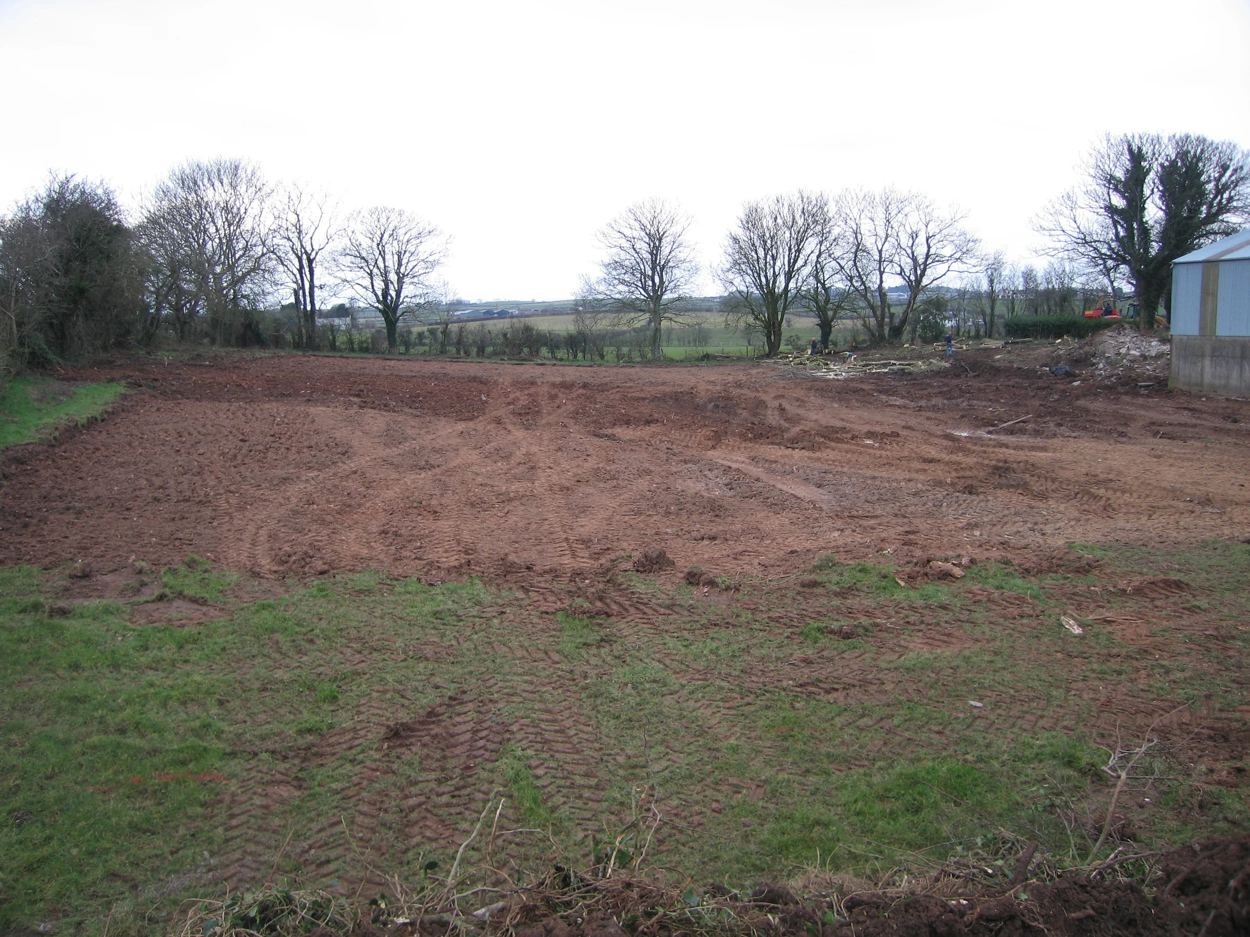 9 Badger Hill North Down (9).JPG