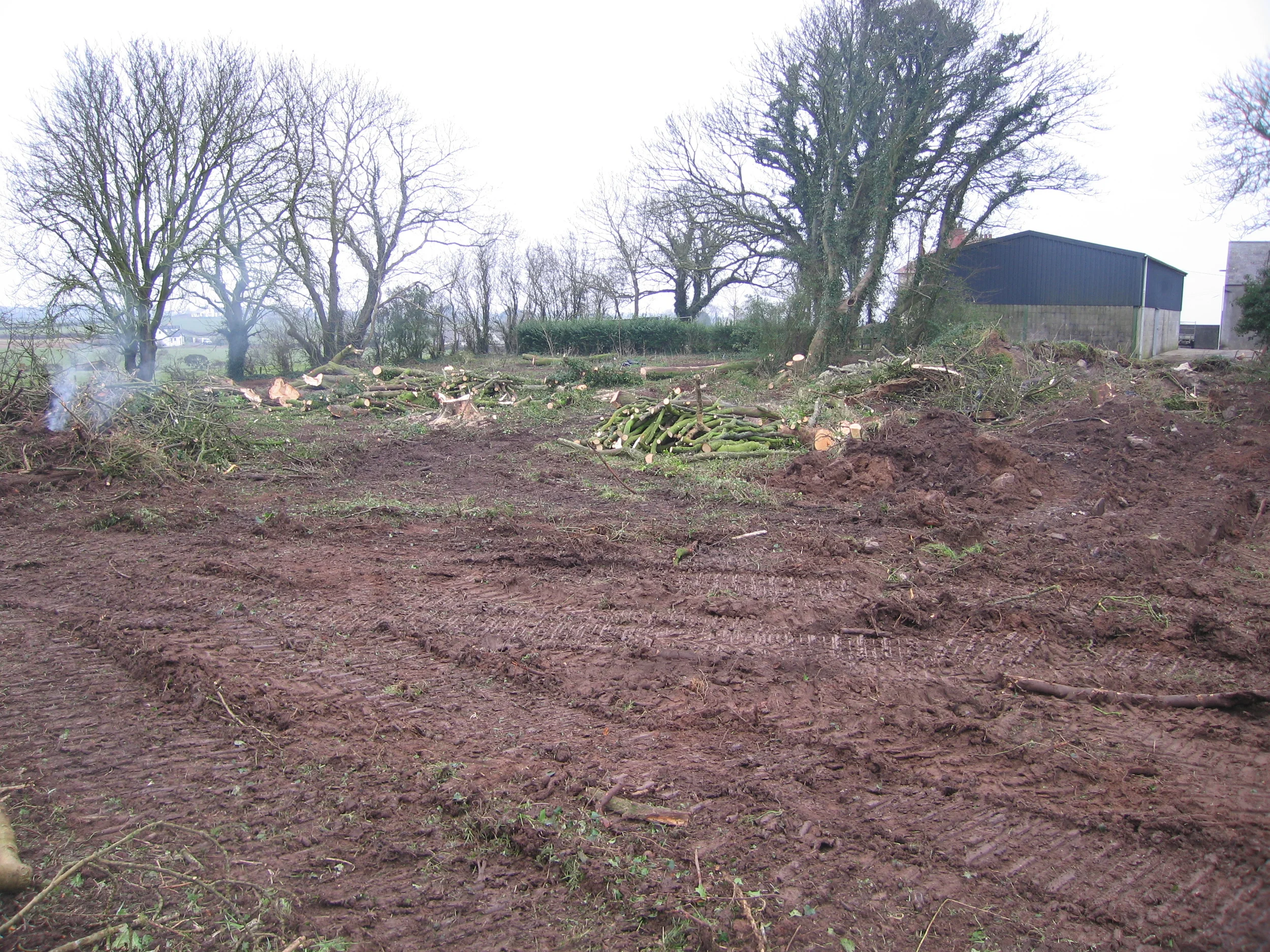 9 Badger Hill North Down (8).JPG