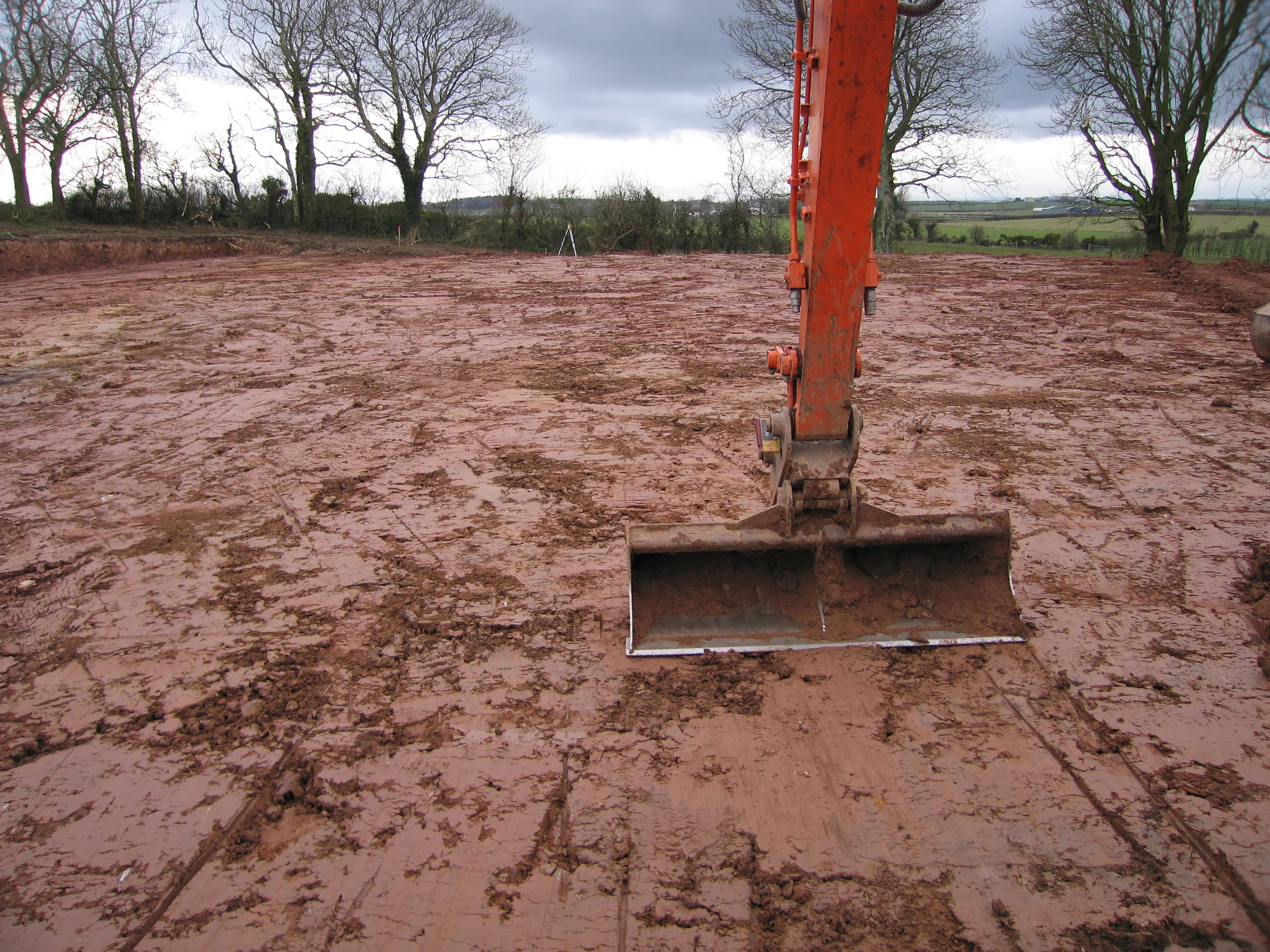 9 Badger Hill North Down (14).JPG