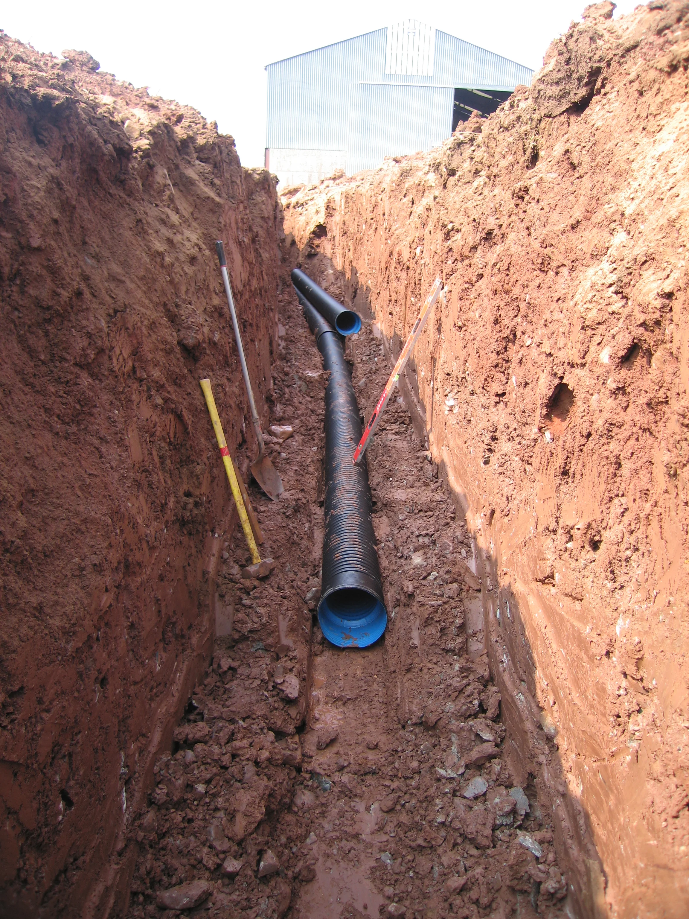 9 Badger Hill North Down (23).JPG