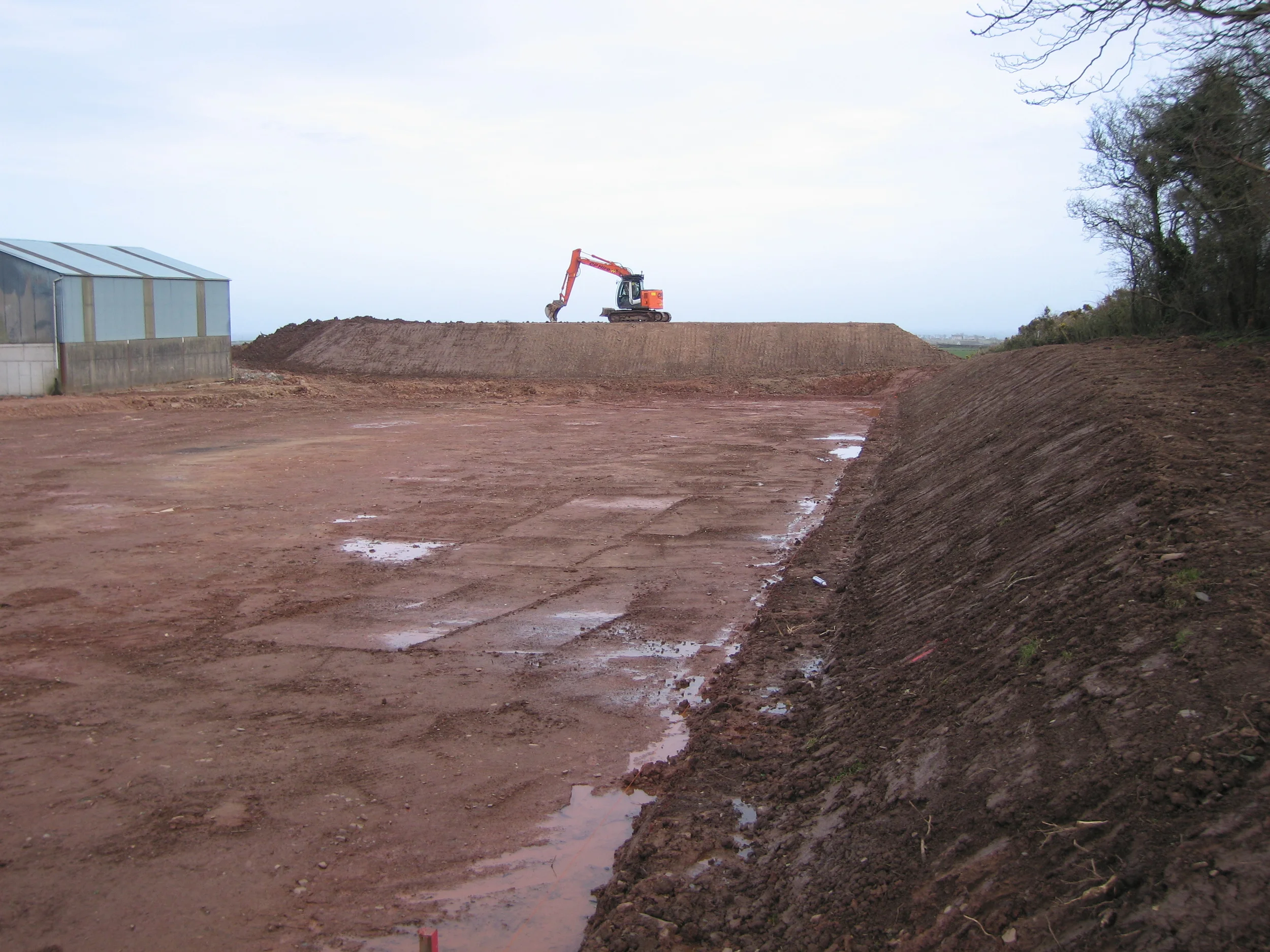 9 Badger Hill North Down (25).JPG