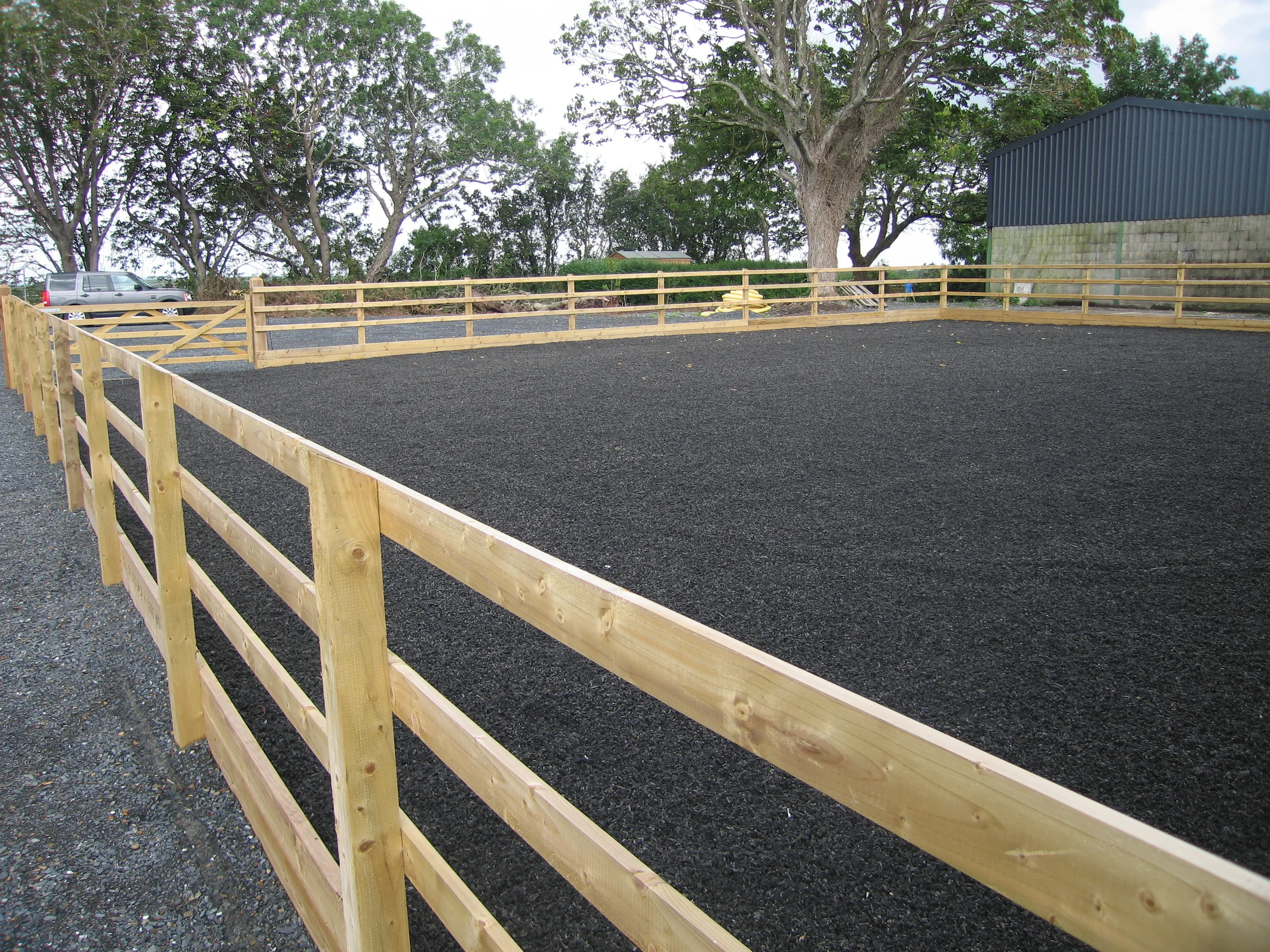 9 Badger Hill North Down (55).JPG