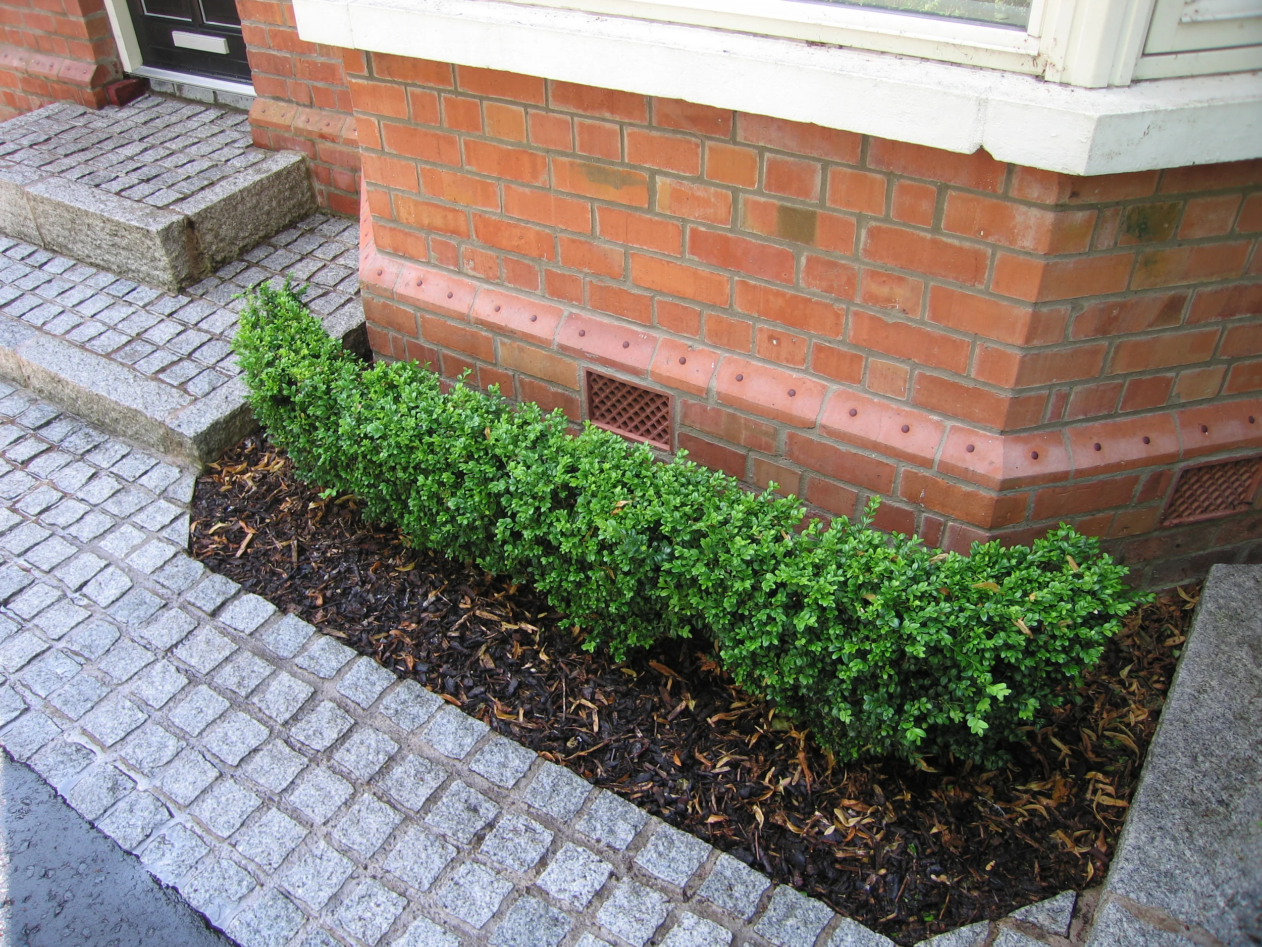 8 Driveway STRANMILIS (1).JPG