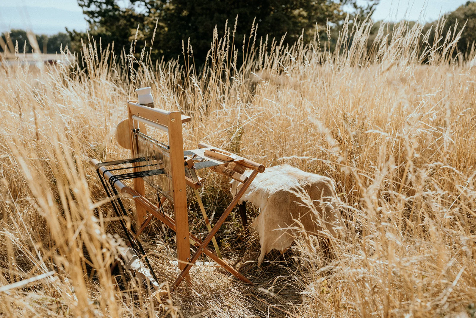 LaLoba - Bronwyn- loom in field-9.jpg