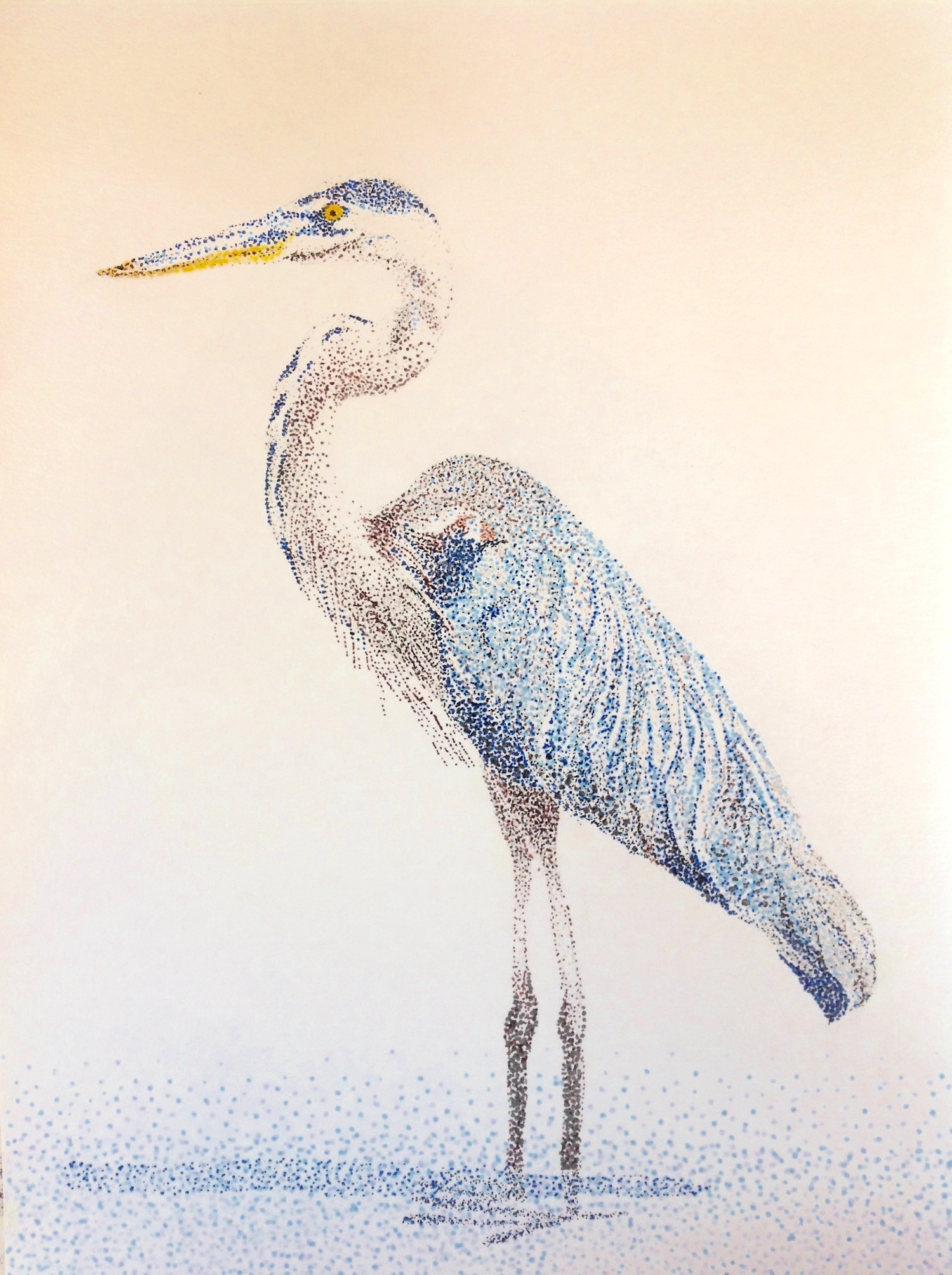 Great Blue Heron Pointillism 8X10 Prints available $25.00