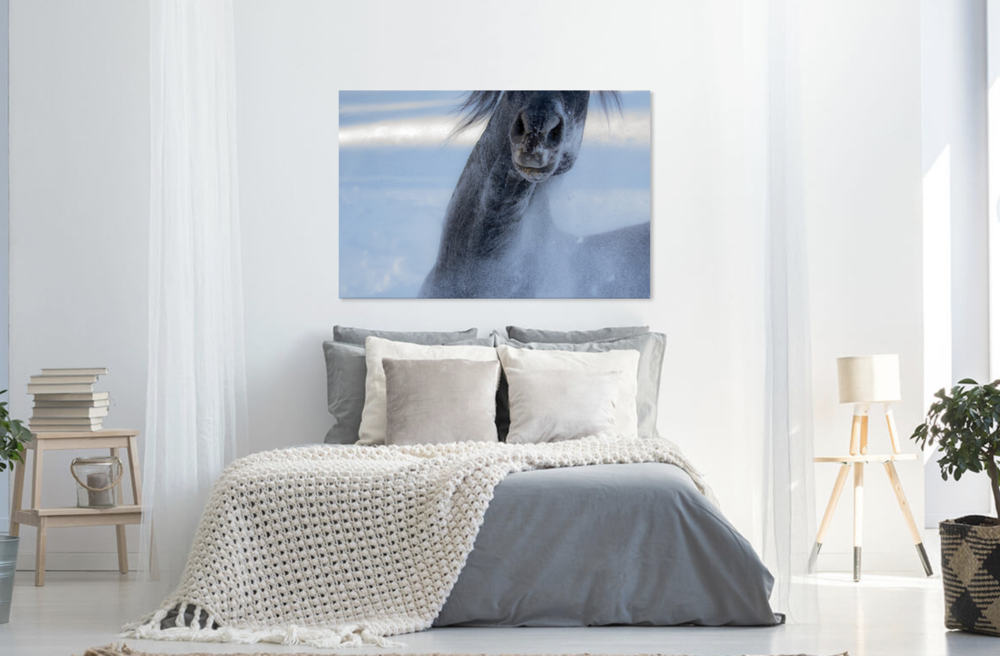 Abstract stallion print over bed .png