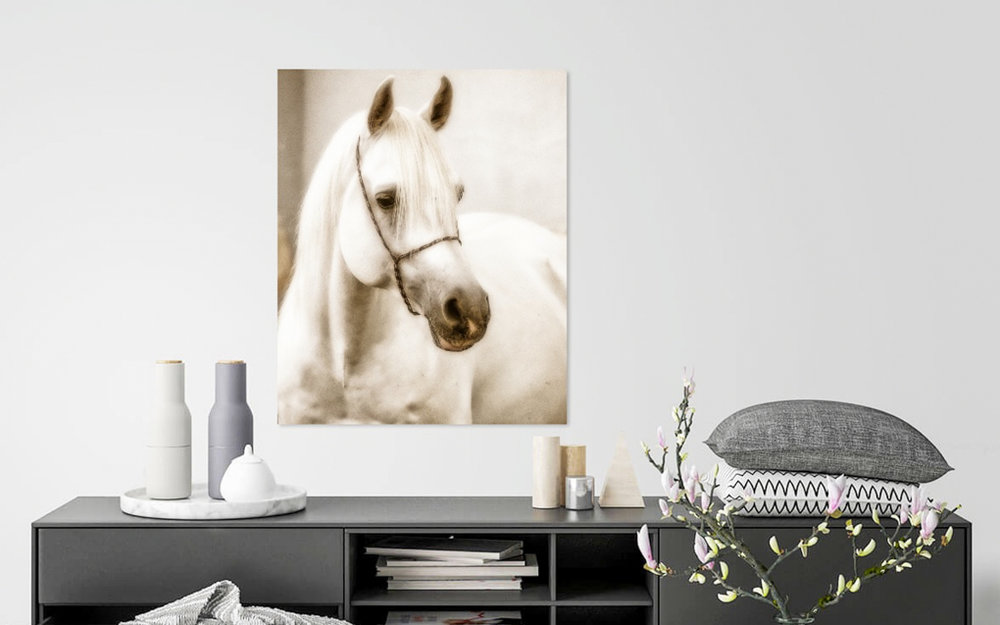 Vertical Headshot Horse art over desk.jpg