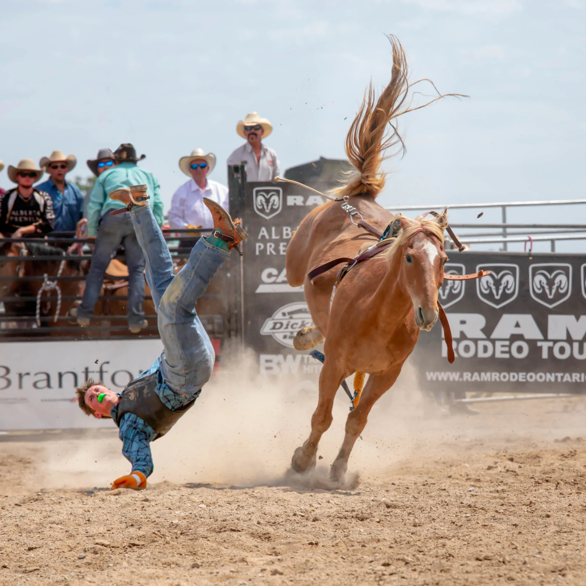 Bronc Rider Ram Rodeo.jpg
