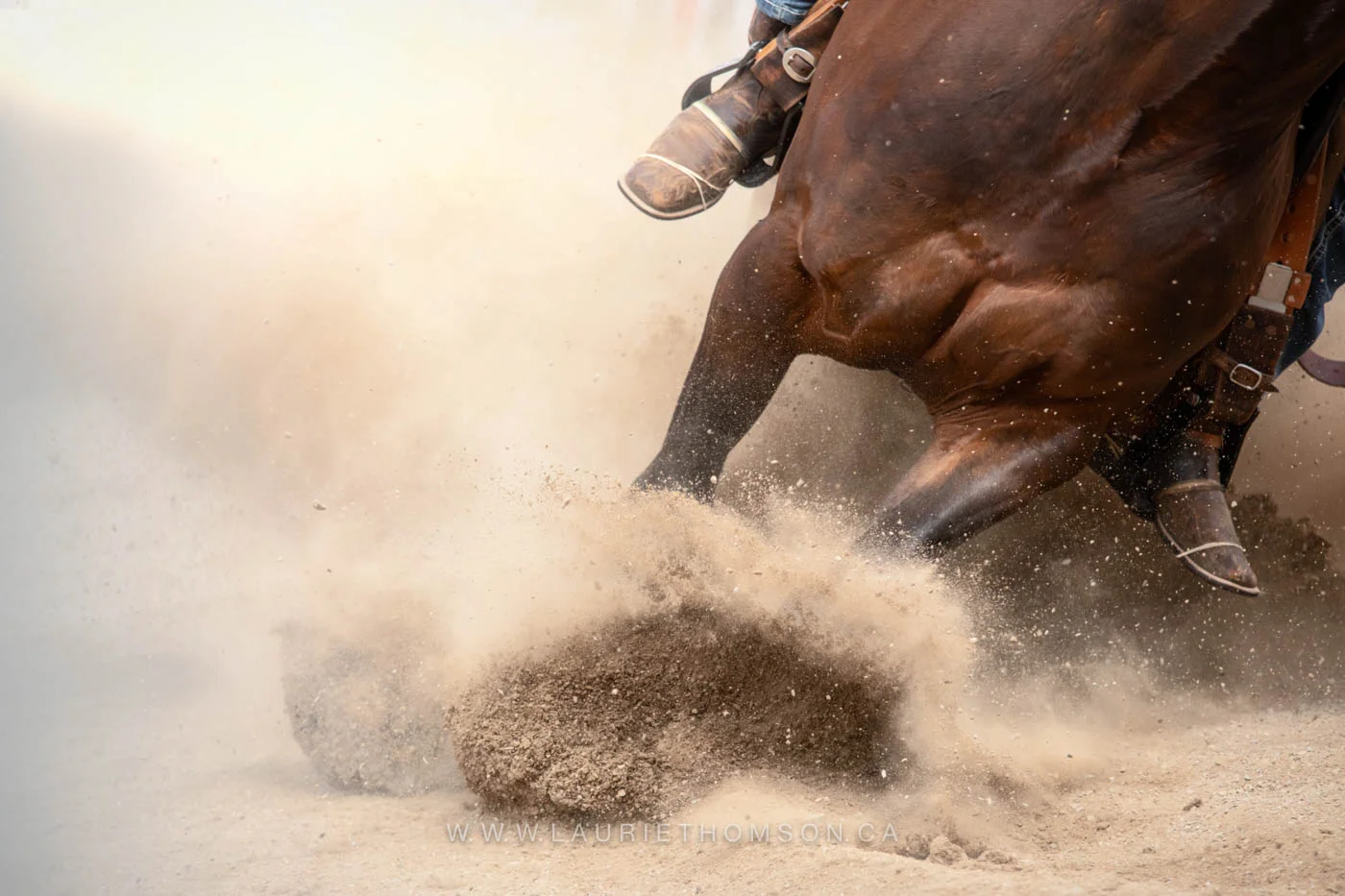 Stopping in a cloud of dust.jpg