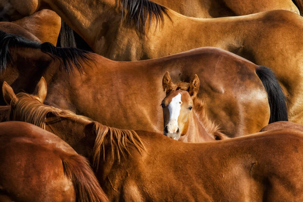 This was taken at a workshop in New Mexico with Tony Stromberg.