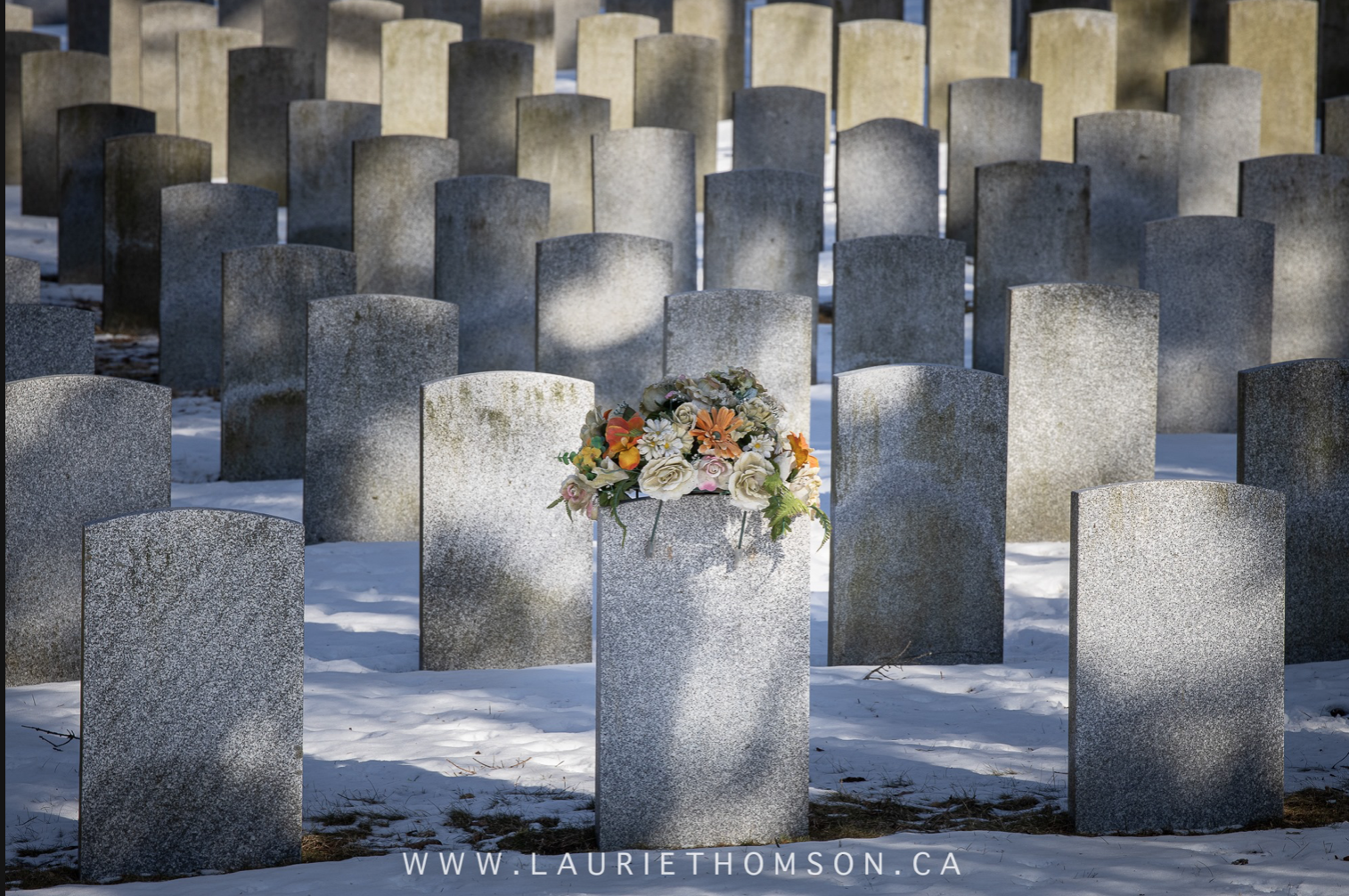 Cemetery tombstones EOS R test