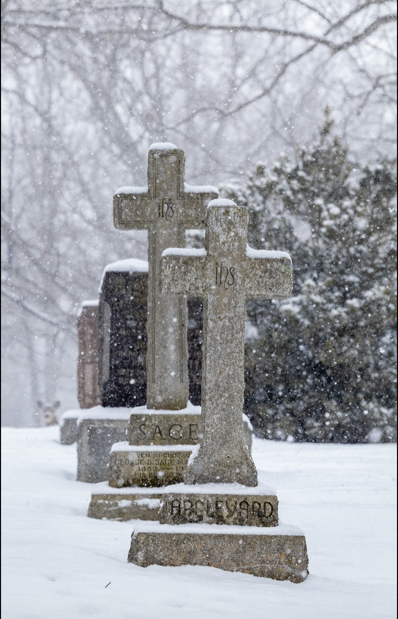 Cemetery in the snow - do you see the deer?