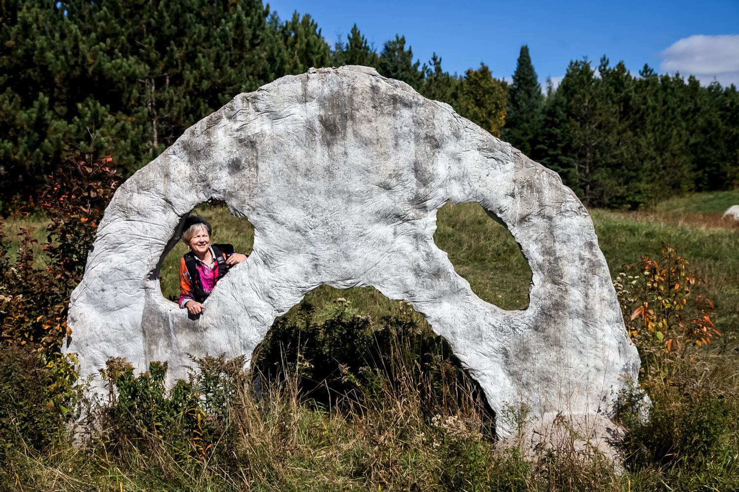 Screaming Heads, Burks Falls, Ontario