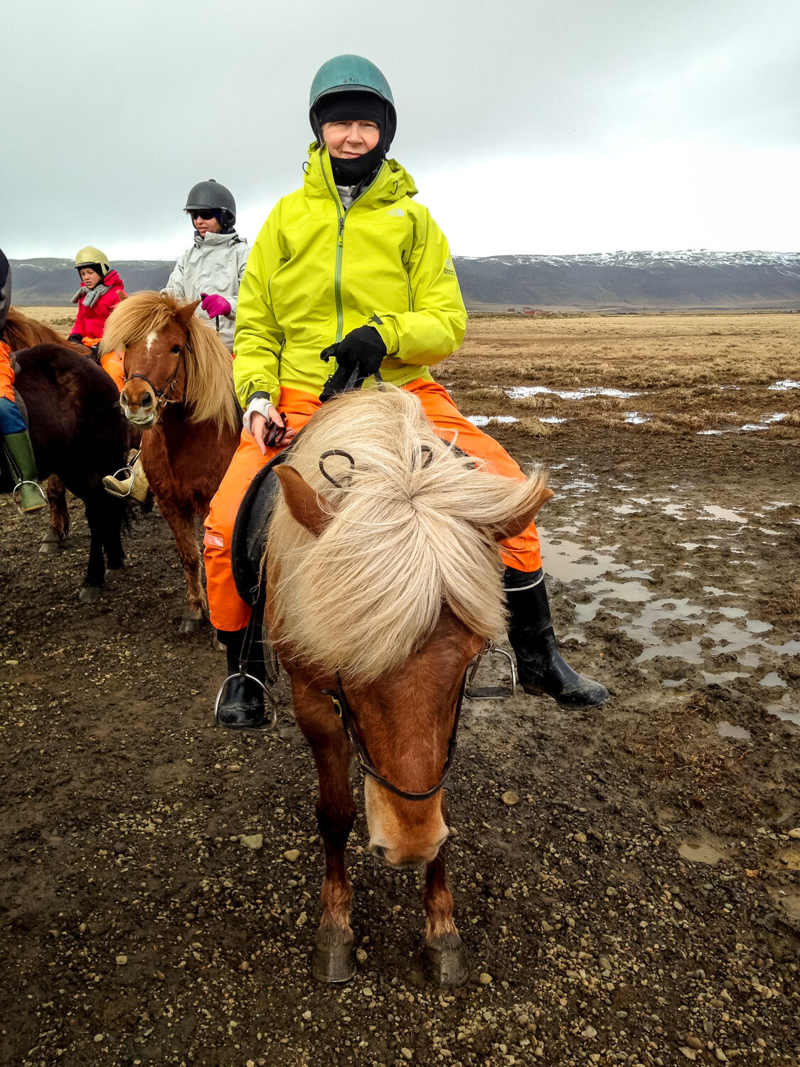 Icelandic Trail Ride