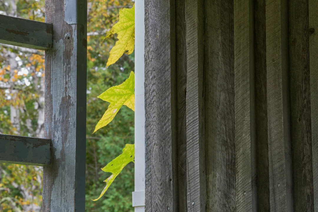 Shamper's Bluff005-Edit.jpg