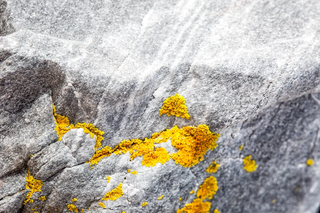 Thomson Abstract_509-Edit.jpg