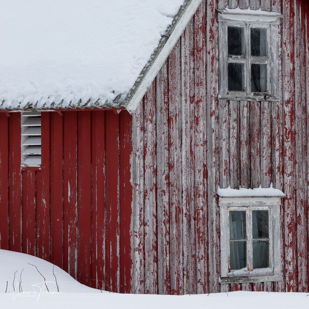 My thanks to adrian.metzelaar as he shared his photo of one of the red houses and it let me see how my own photo could be cropped in a similar manner. Thanks, Adrian!! I guess this is my 'red' series from Norway. #norwayredhouse #redhouse #snow #norw