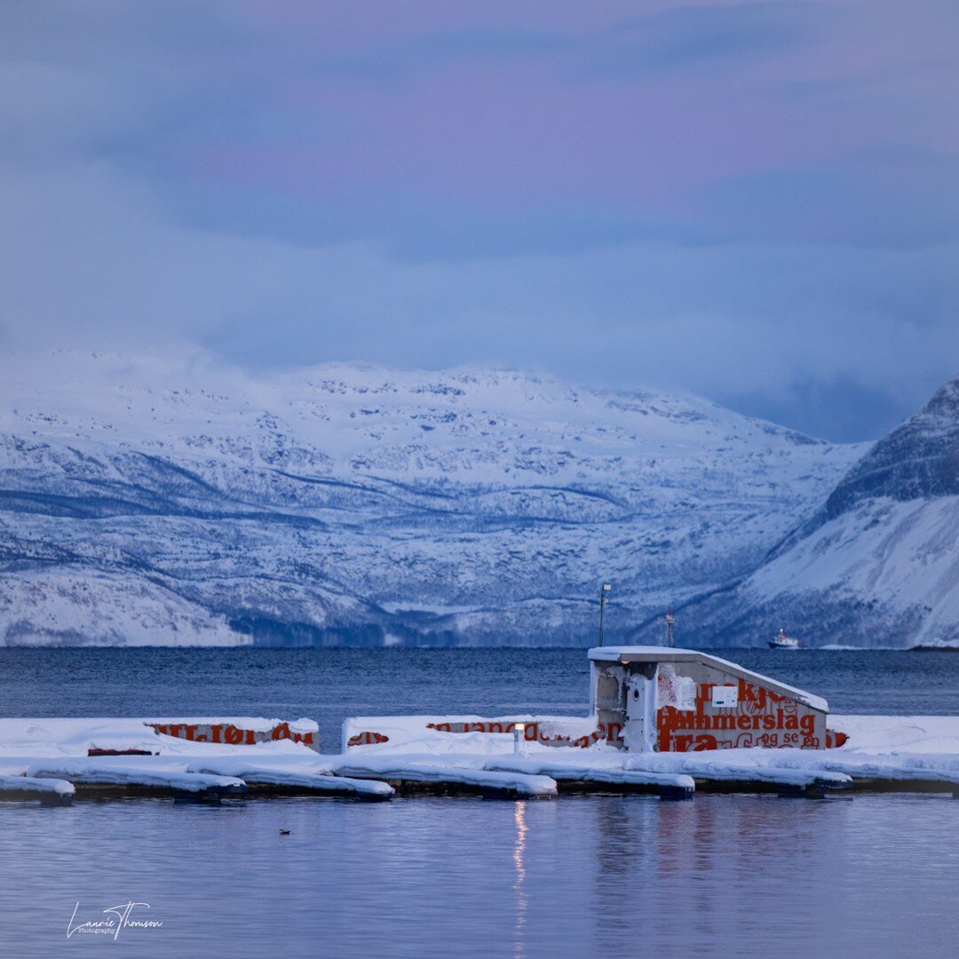 Harbour in Harstad #Norway #norwaytravel #winterwonderland