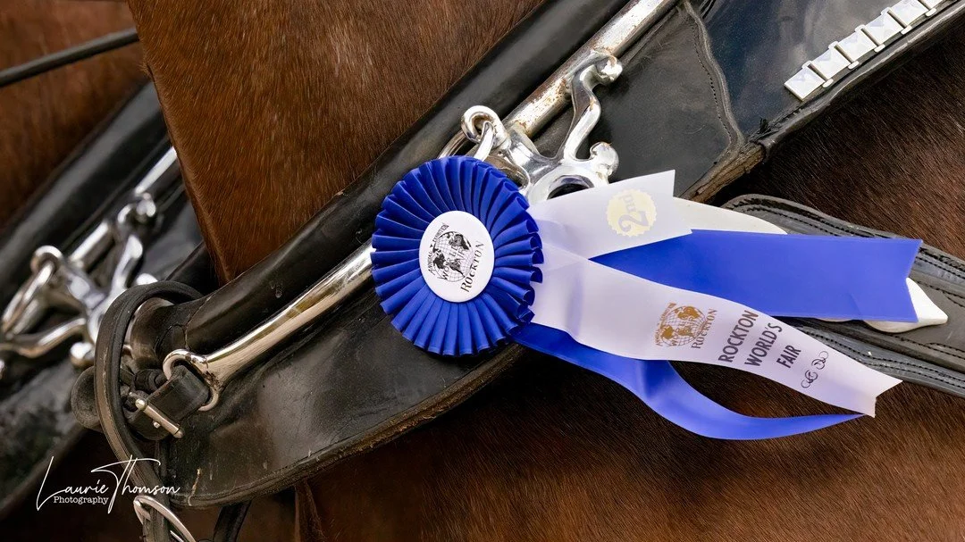 The blue ribbon...When I was younger and read books about horses and competitions, it was usually a 'blue ribbon' that indicated first prize however most horse shows have red ribbons as first place. Still love a blue ribbon!! #rocktonfair #rocktonfal