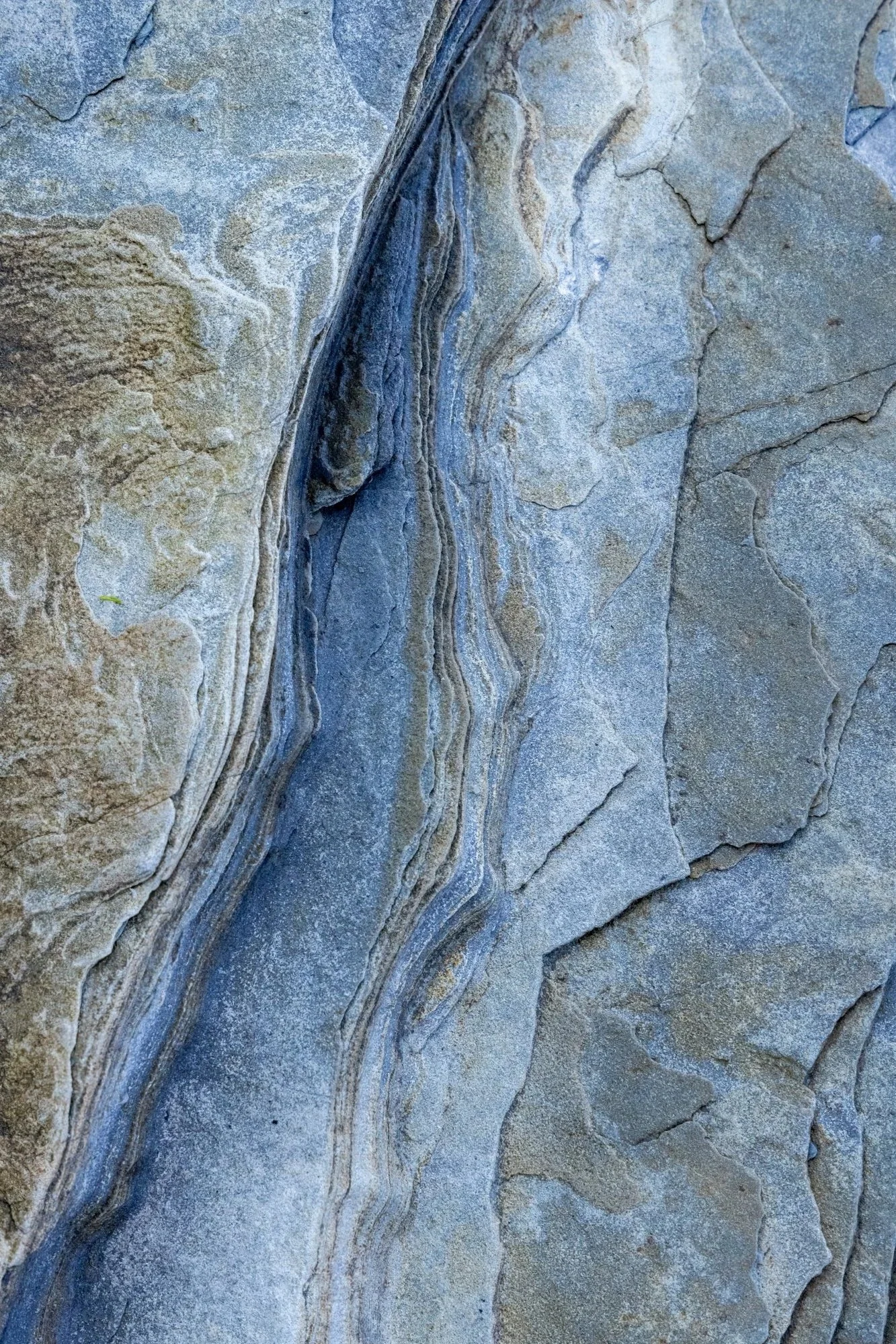 Newfoundland Rock 3 (Crack to the Right)