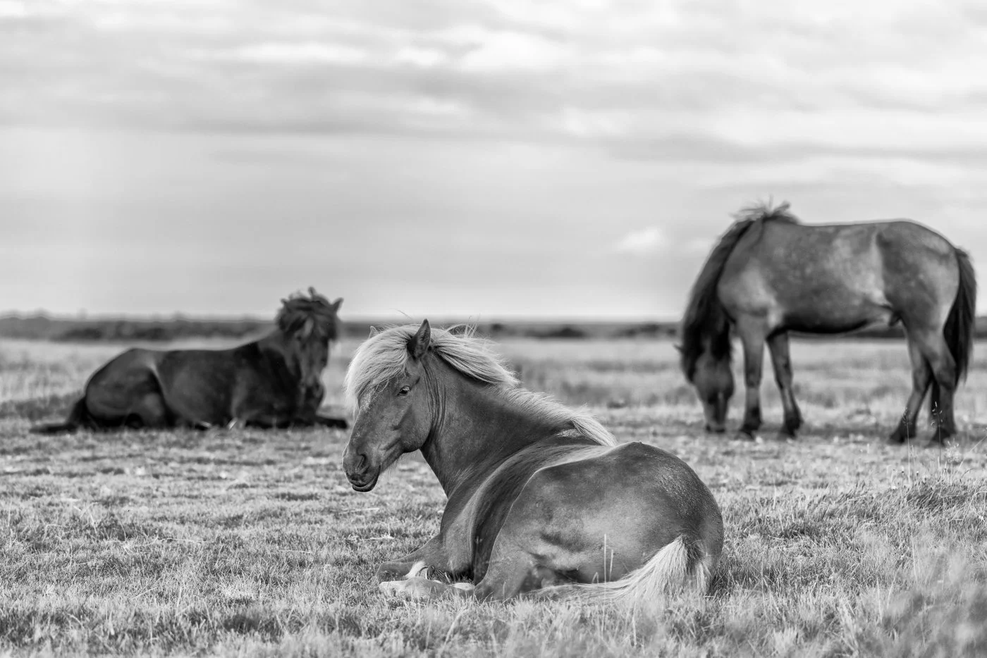 250725_Last Day_7099-Edit.jpg