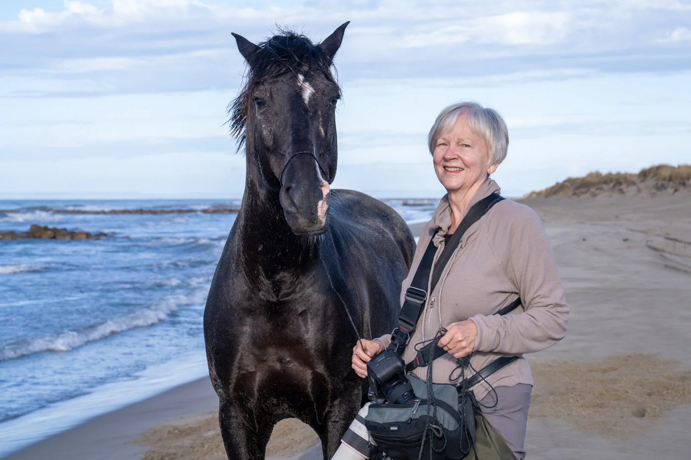 Camargue Region, France