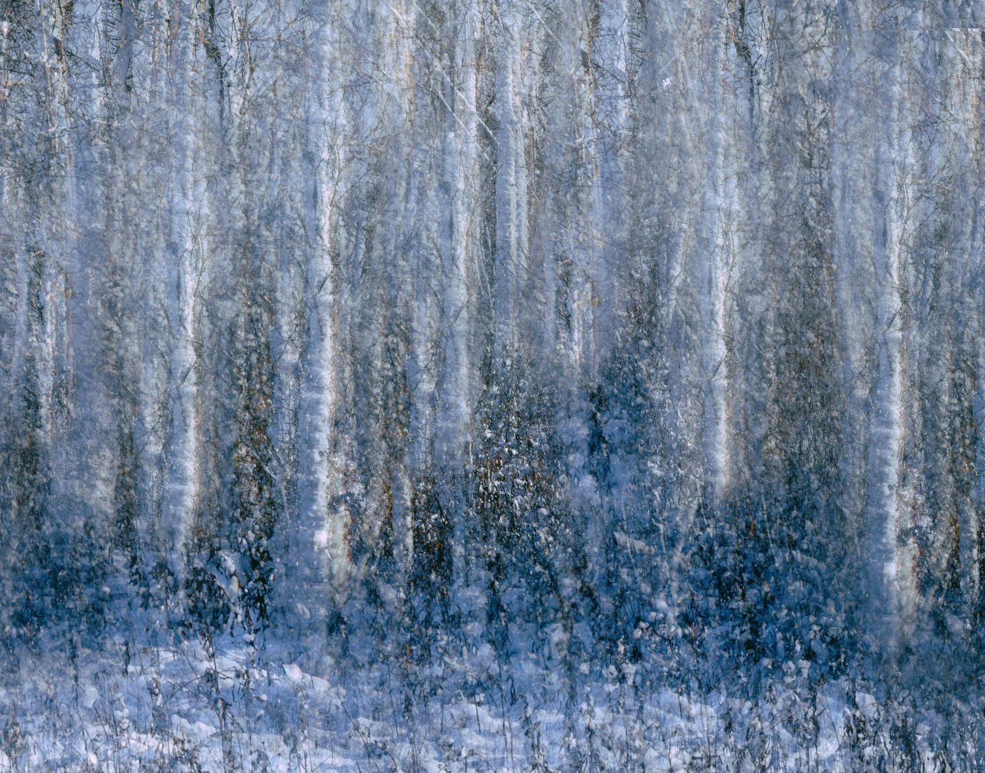 Snowy Day in Komoka, Ontario