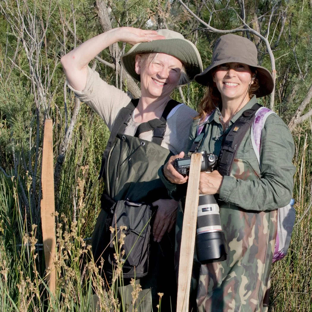 France, Denise Ippolito