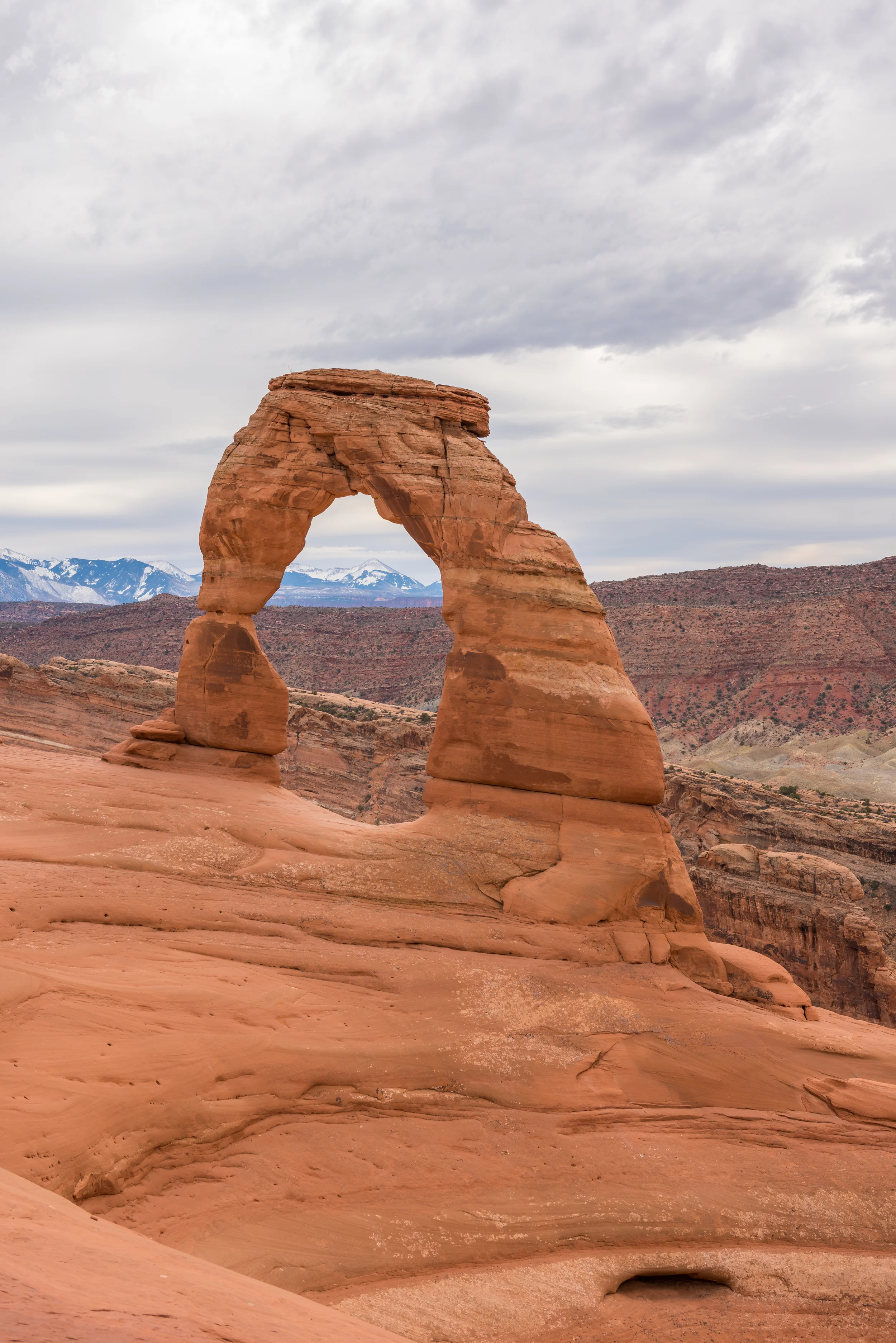 Squarespace-015.jpg