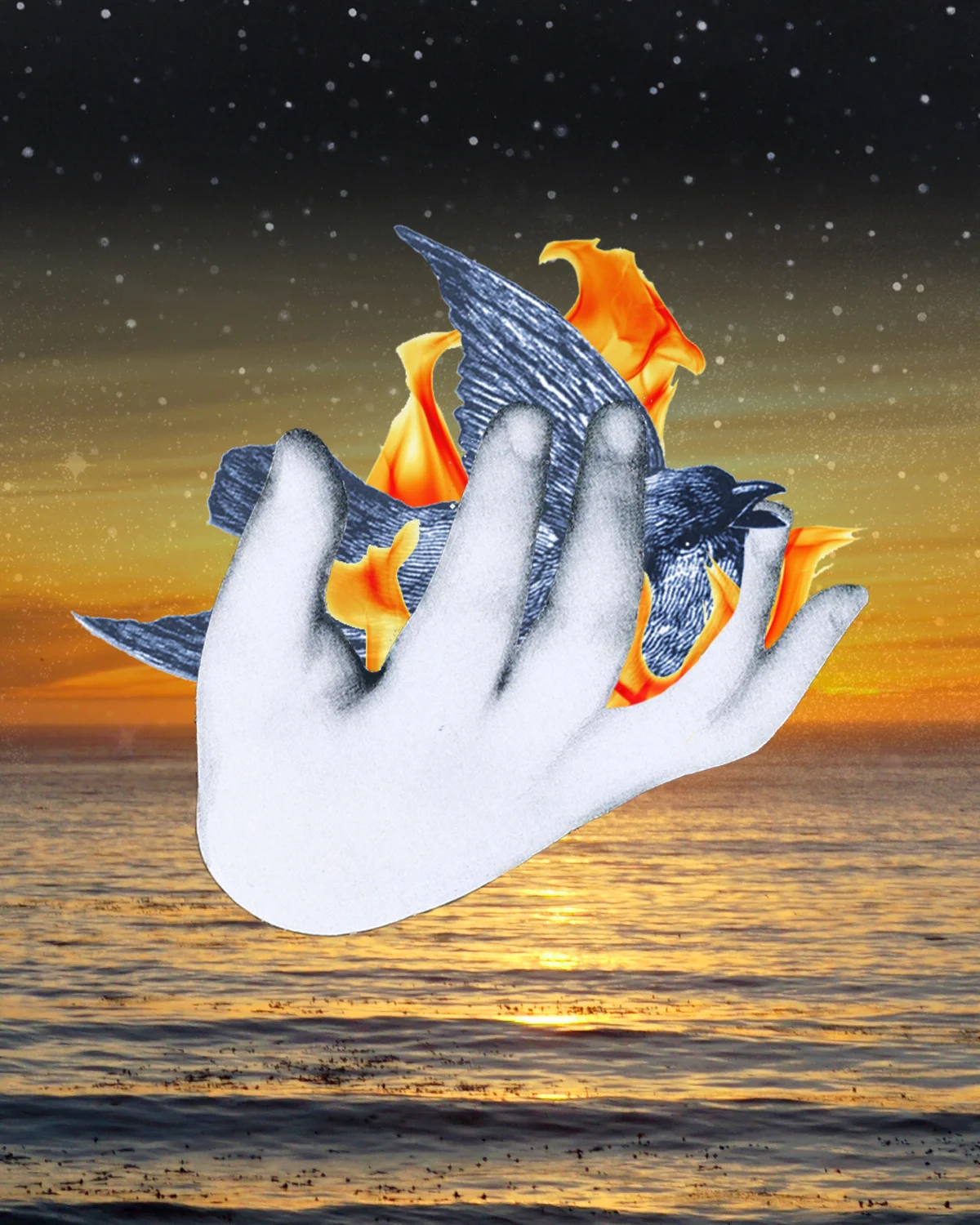 Bird saved_version5a.jpg