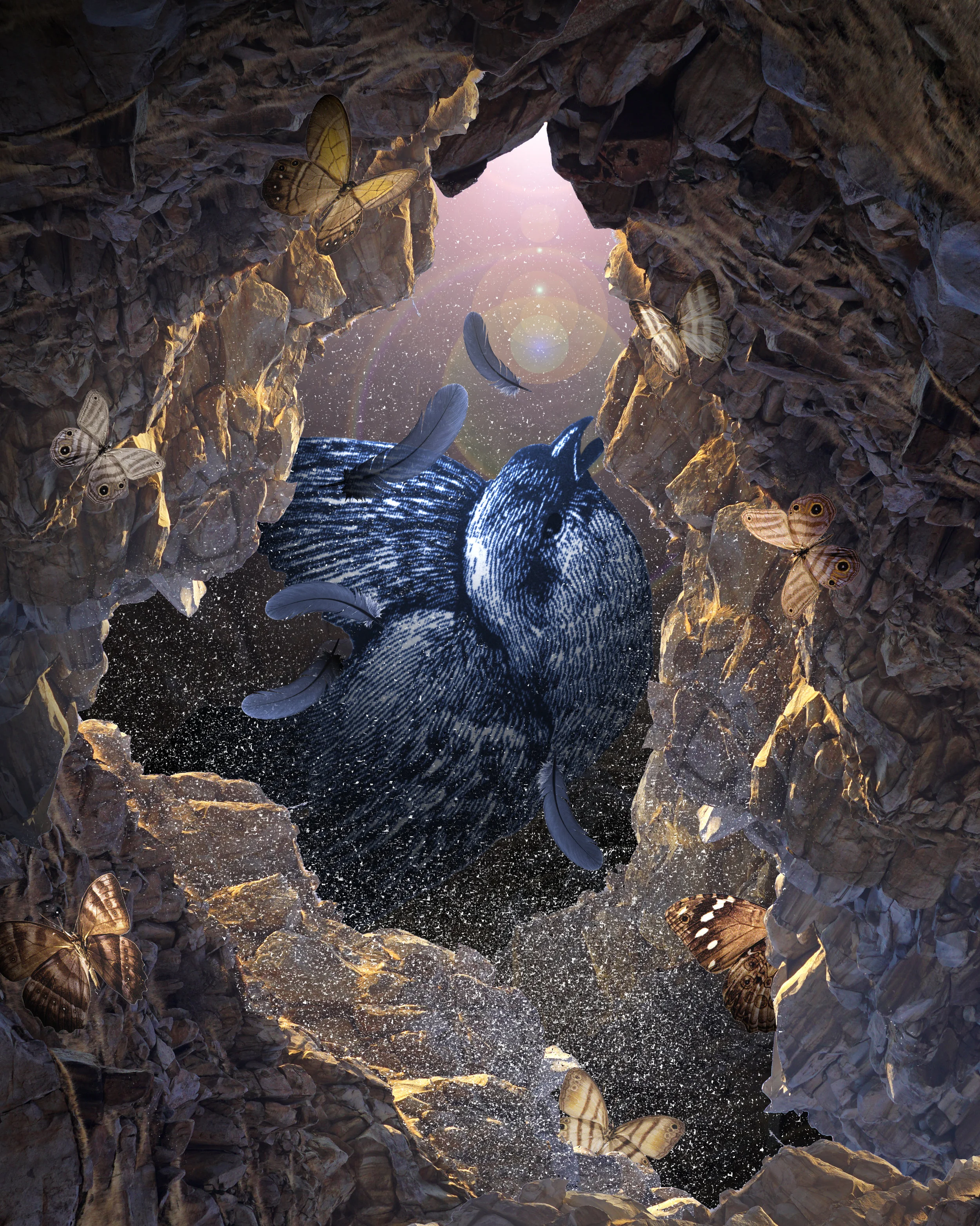 BIRD CRUSHED_darker.jpg
