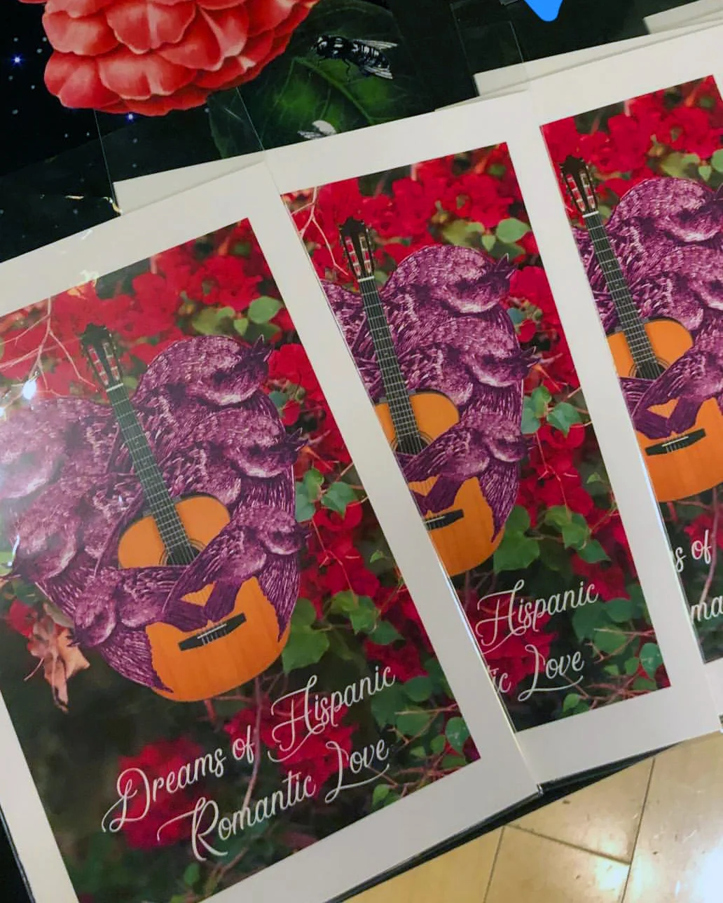 Zine Dreams of Hispanic Romantic Love