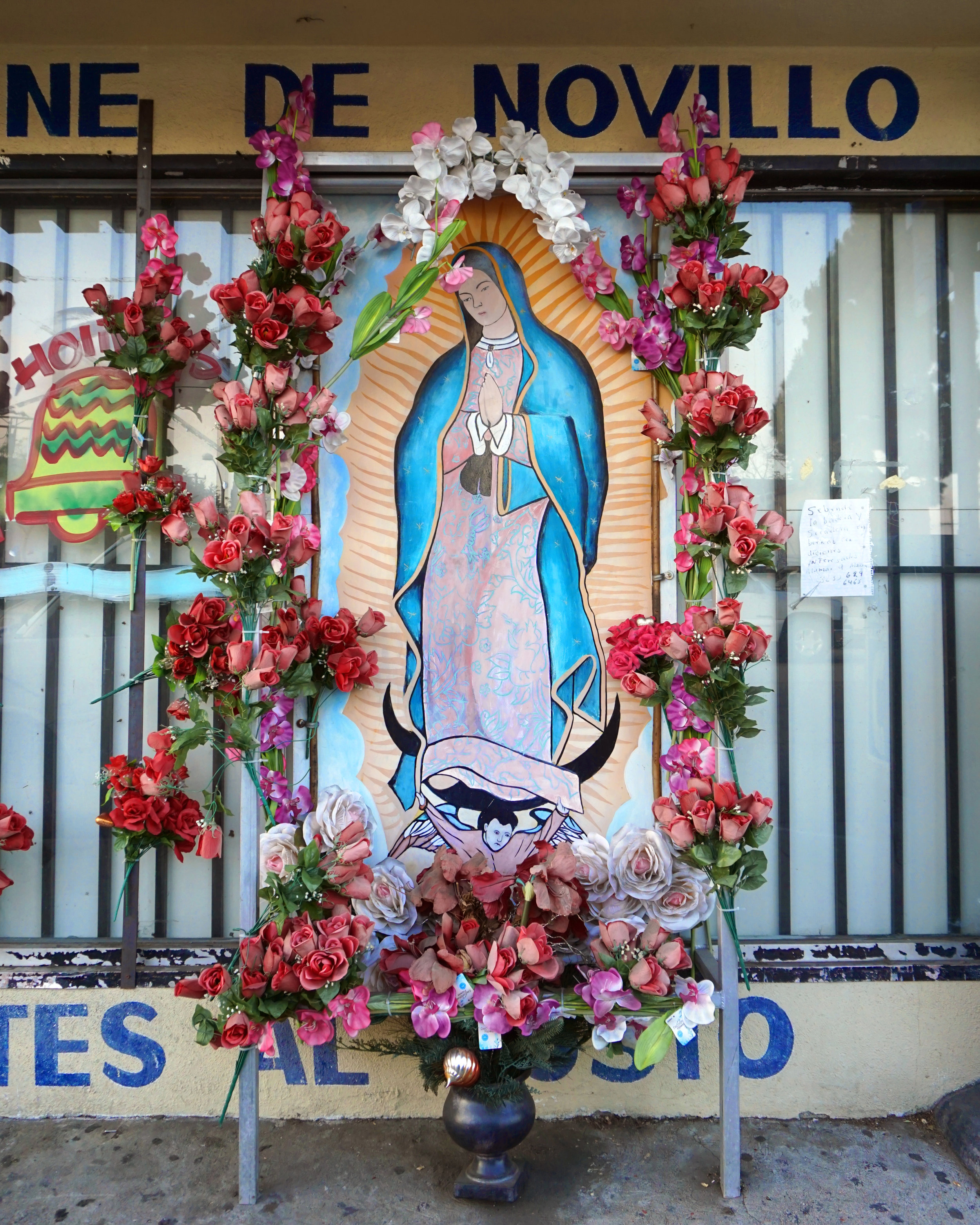 Guadalupe_Store_LEnnox.jpg
