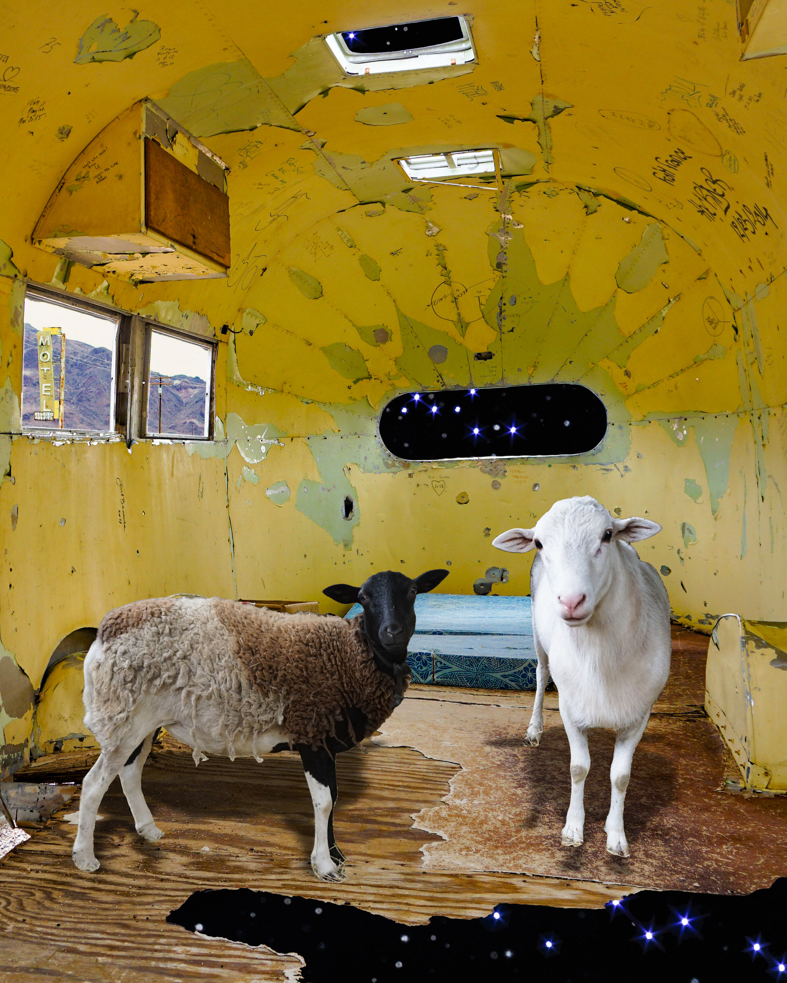 Sheep's Ship