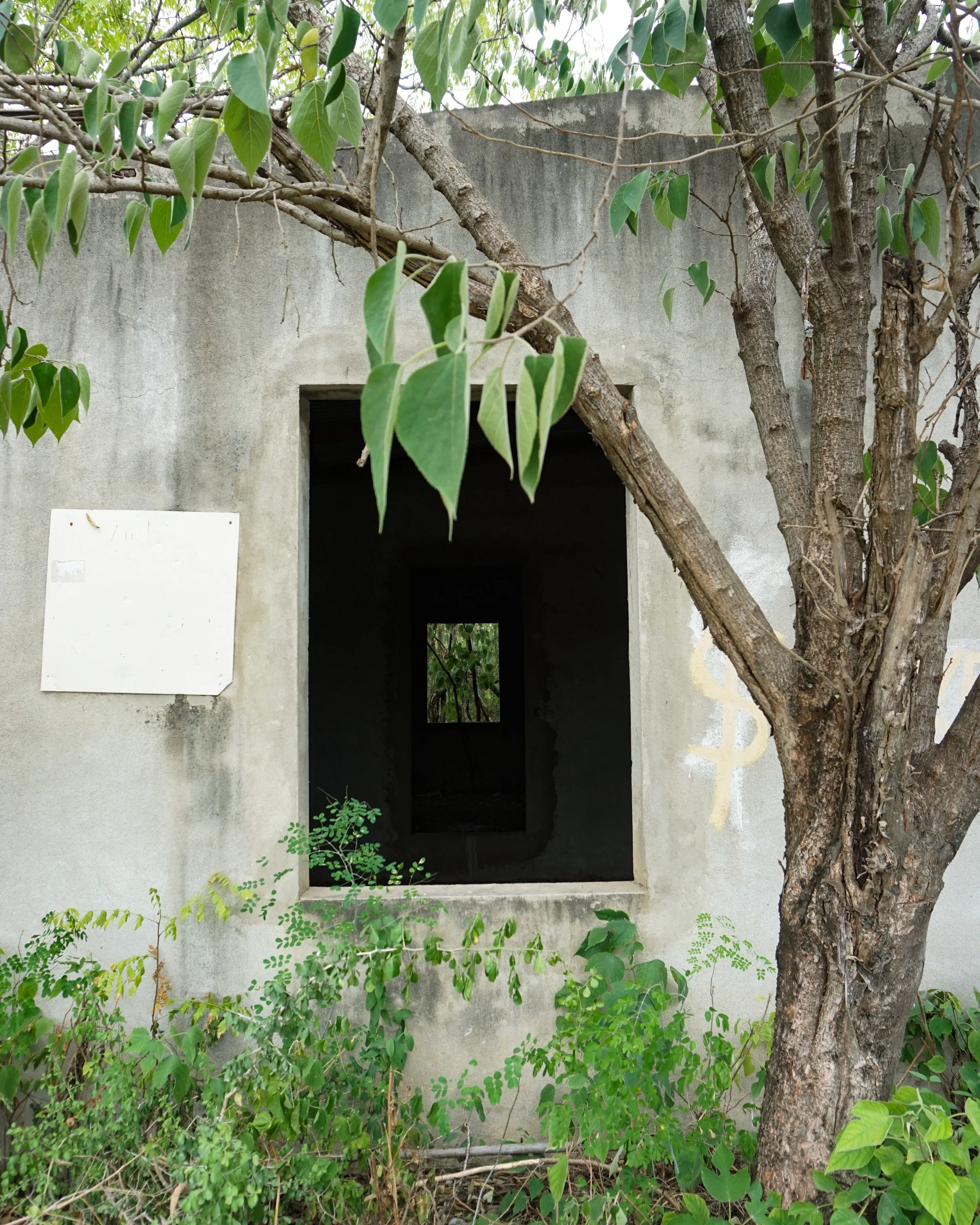 Monterrey Rural RURAL MONTERREY — Monica Leal Cueva