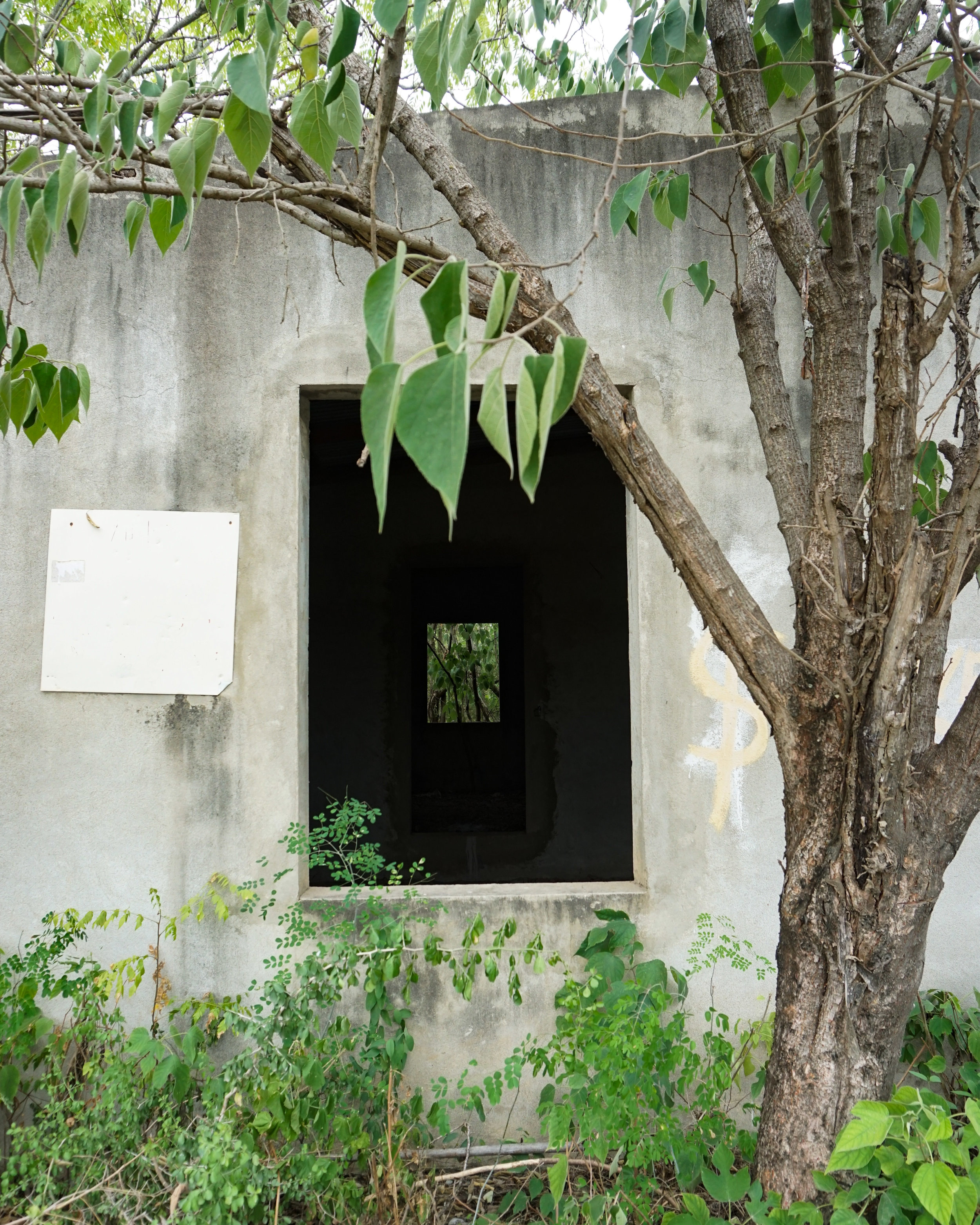 RURAL MONTERREY — Monica Leal Cueva