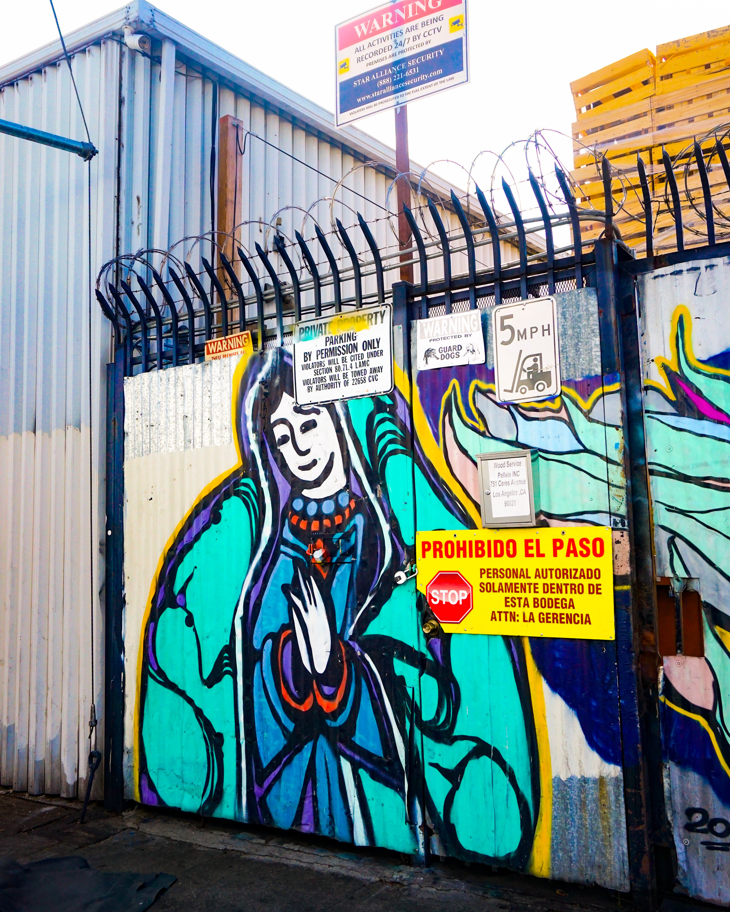 Guadalupe_DowntownLA_CeresSt (1 of 1)-1.jpg
