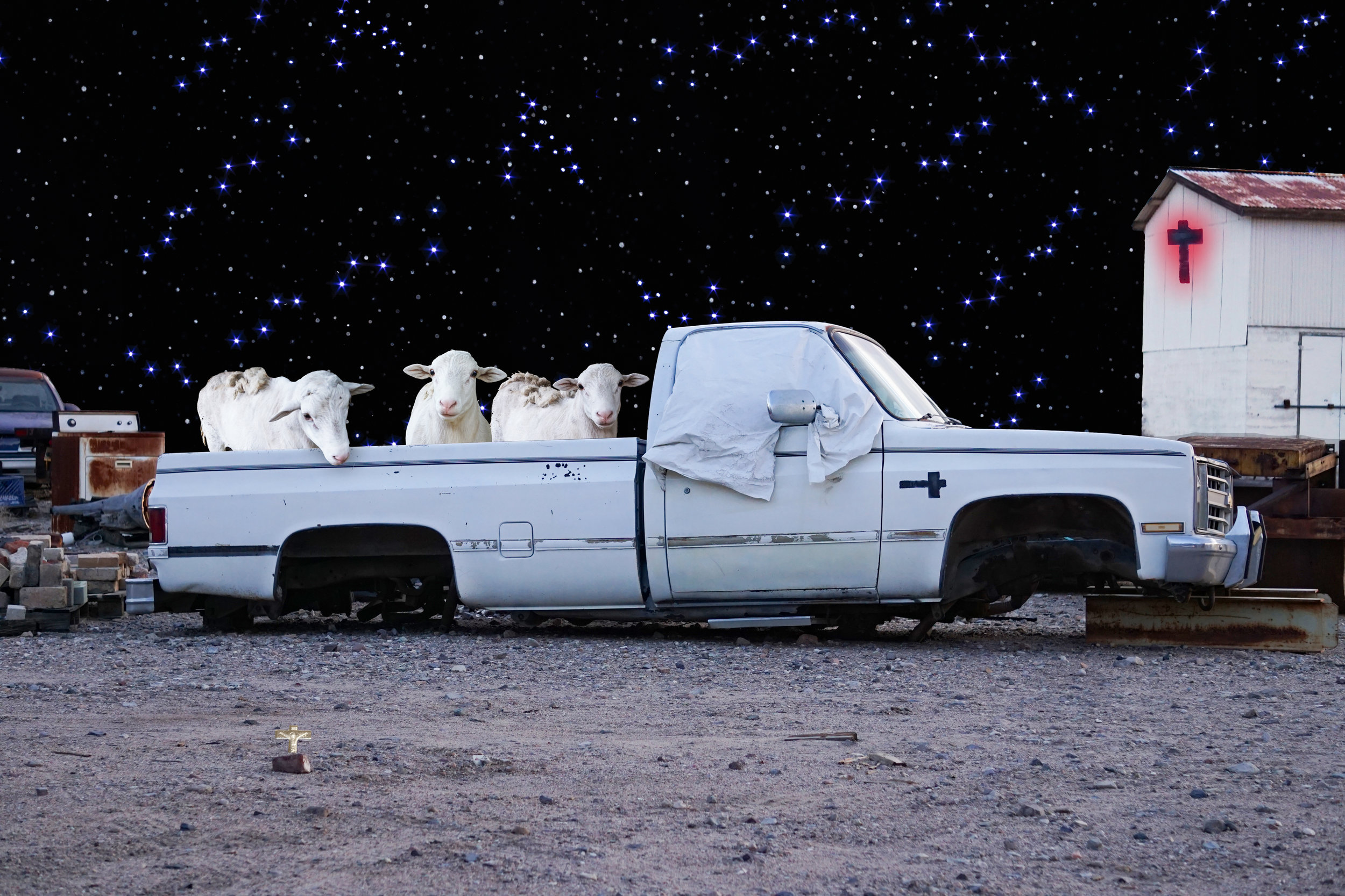 PickUp Sheep