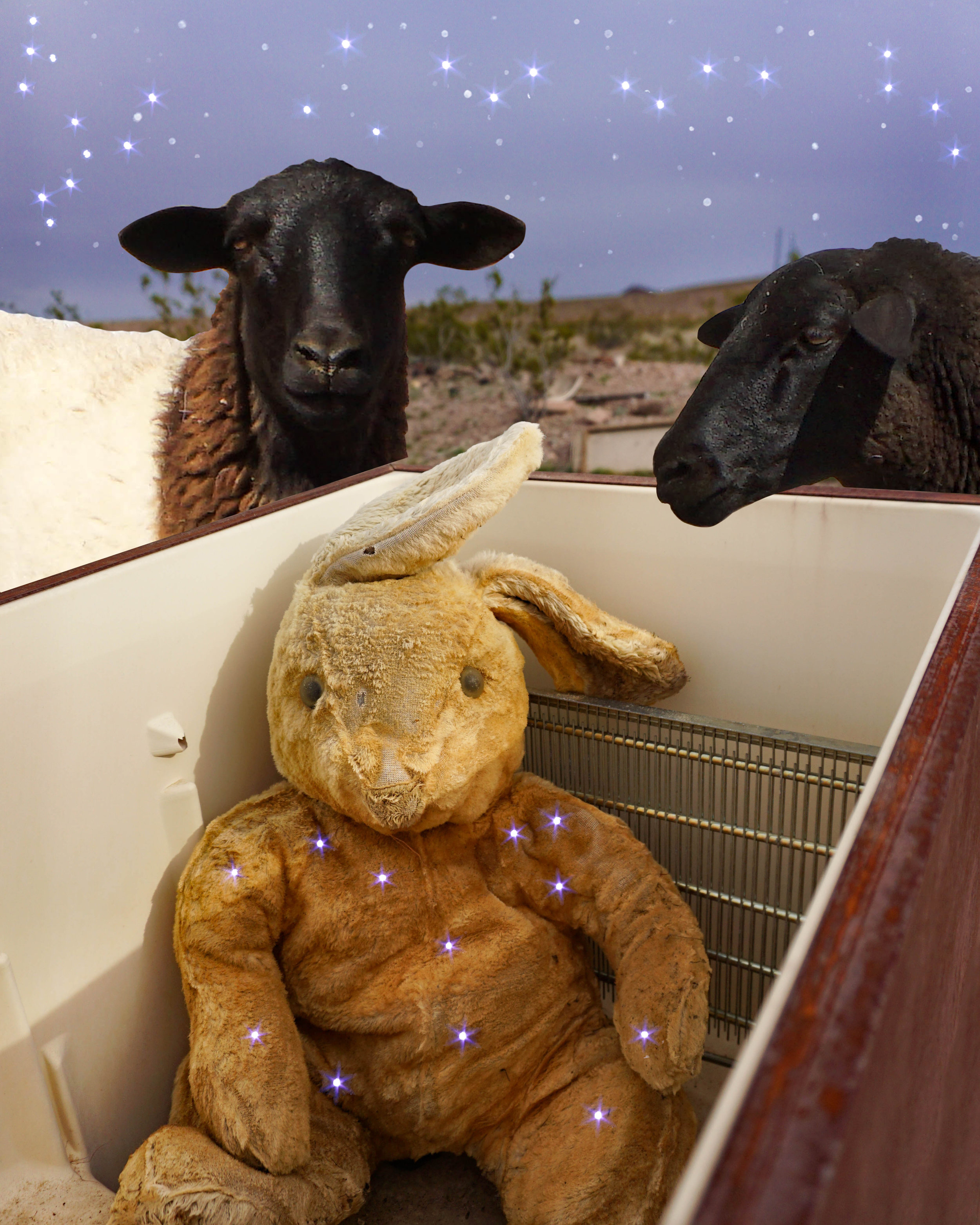 The Encounter of Lepus