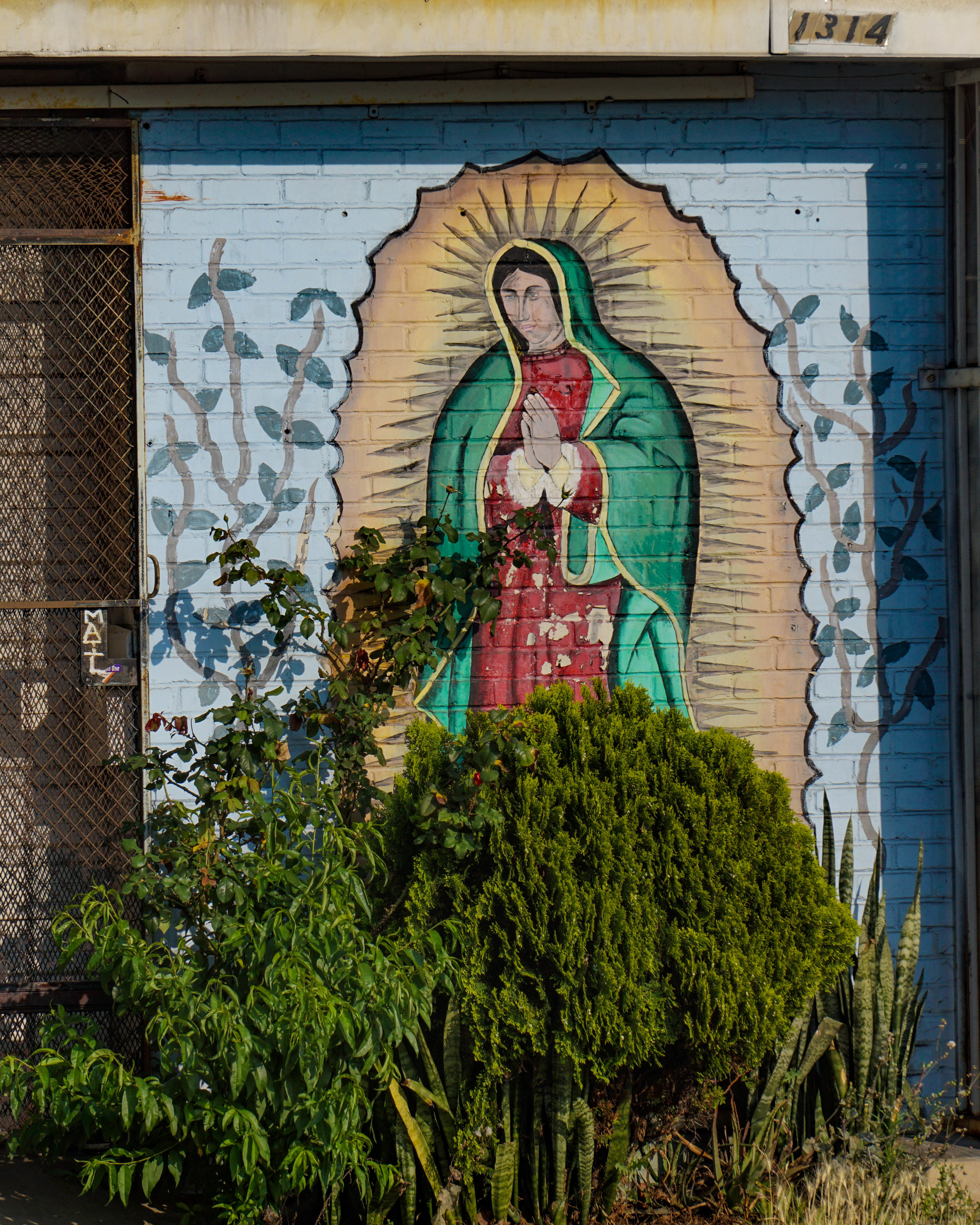 Guadalupe - LOrena - Bushes.jpg
