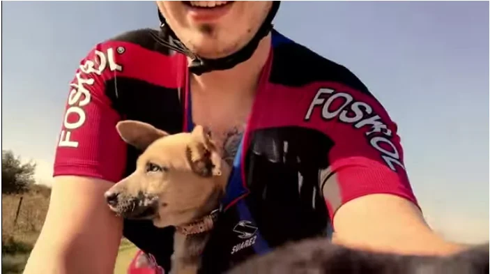 Gone Viral: A Story of a Cyclist and a Puppy