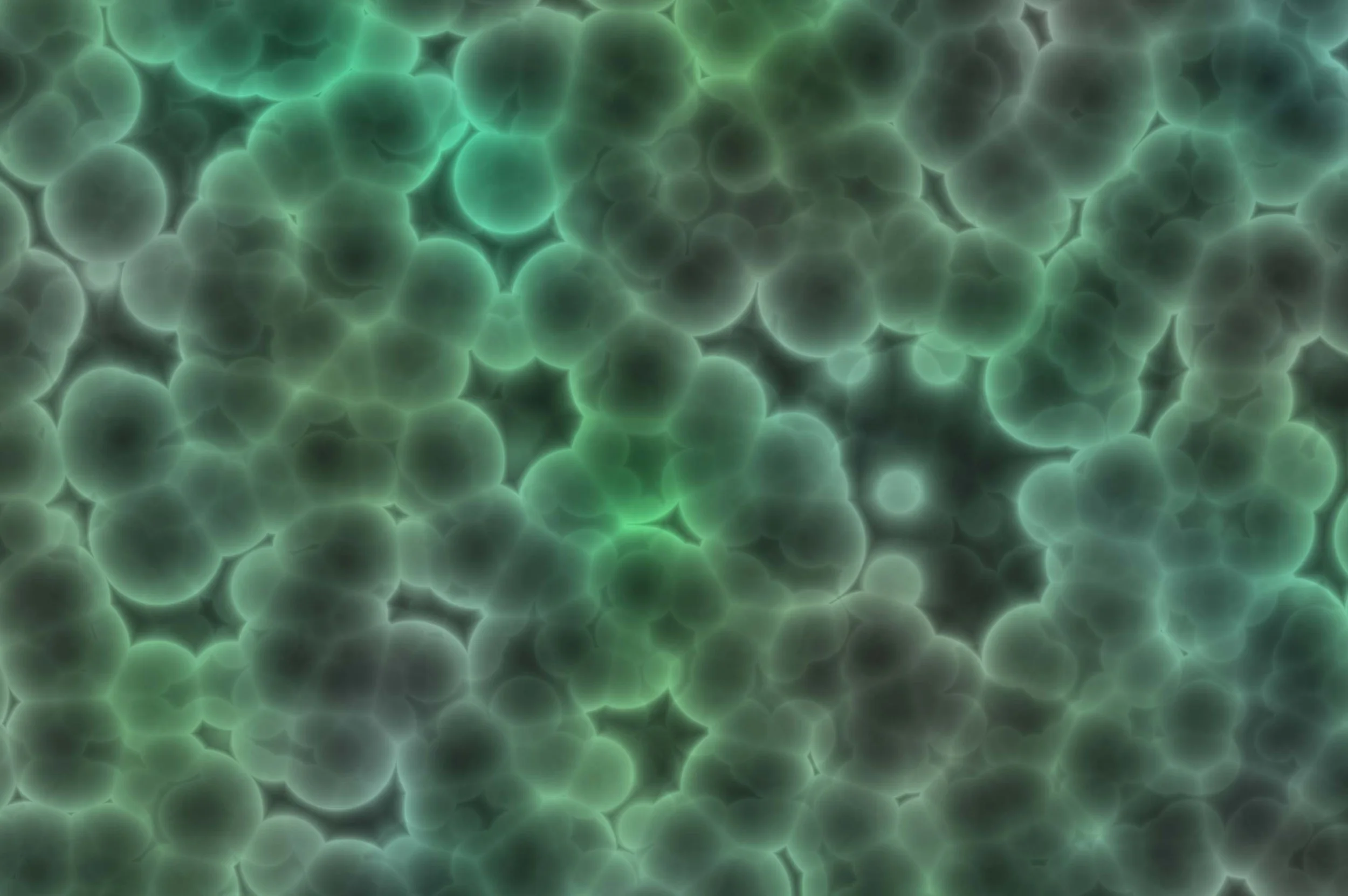 bacteria.jpg